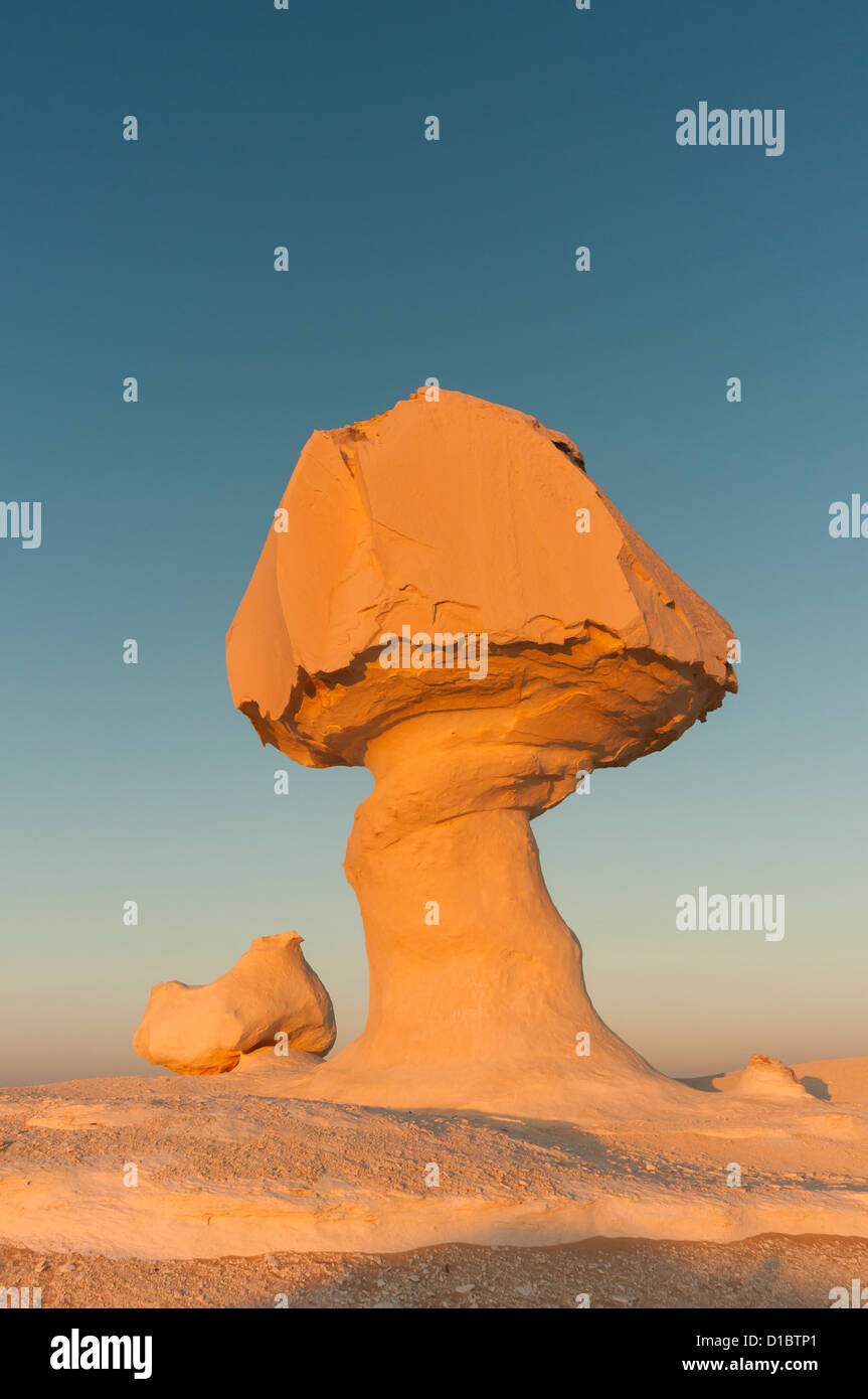 Pollo & Fungo Rock Formazione, White Desert (Sahara el Beyda), Egitto Foto Stock