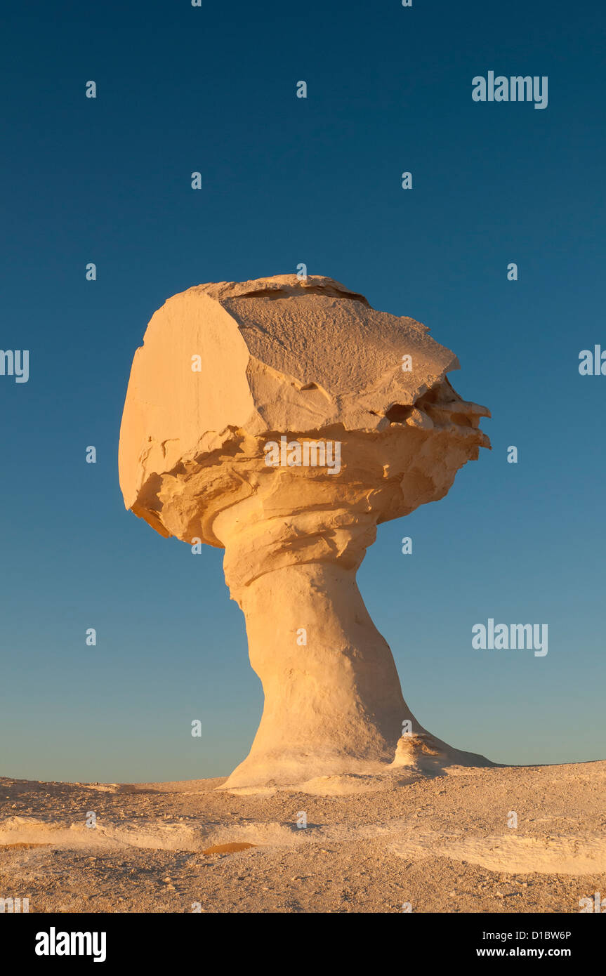 Fungo Rock Formazione, White Desert (Sahara el Beyda), Egitto Foto Stock