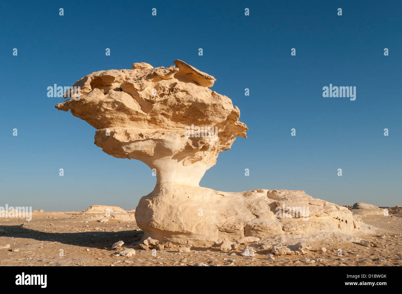 Fungo formazioni rocciose, White Desert (Sahara el Beyda), Egitto Foto Stock