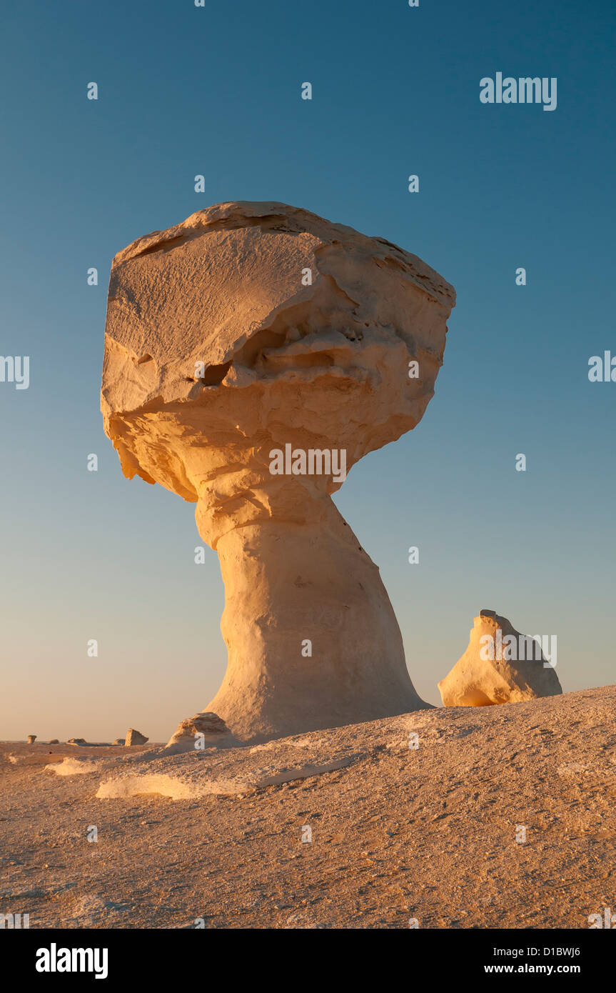 Pollo & Fungo Rock Formazione, White Desert (Sahara el Beyda), Egitto Foto Stock