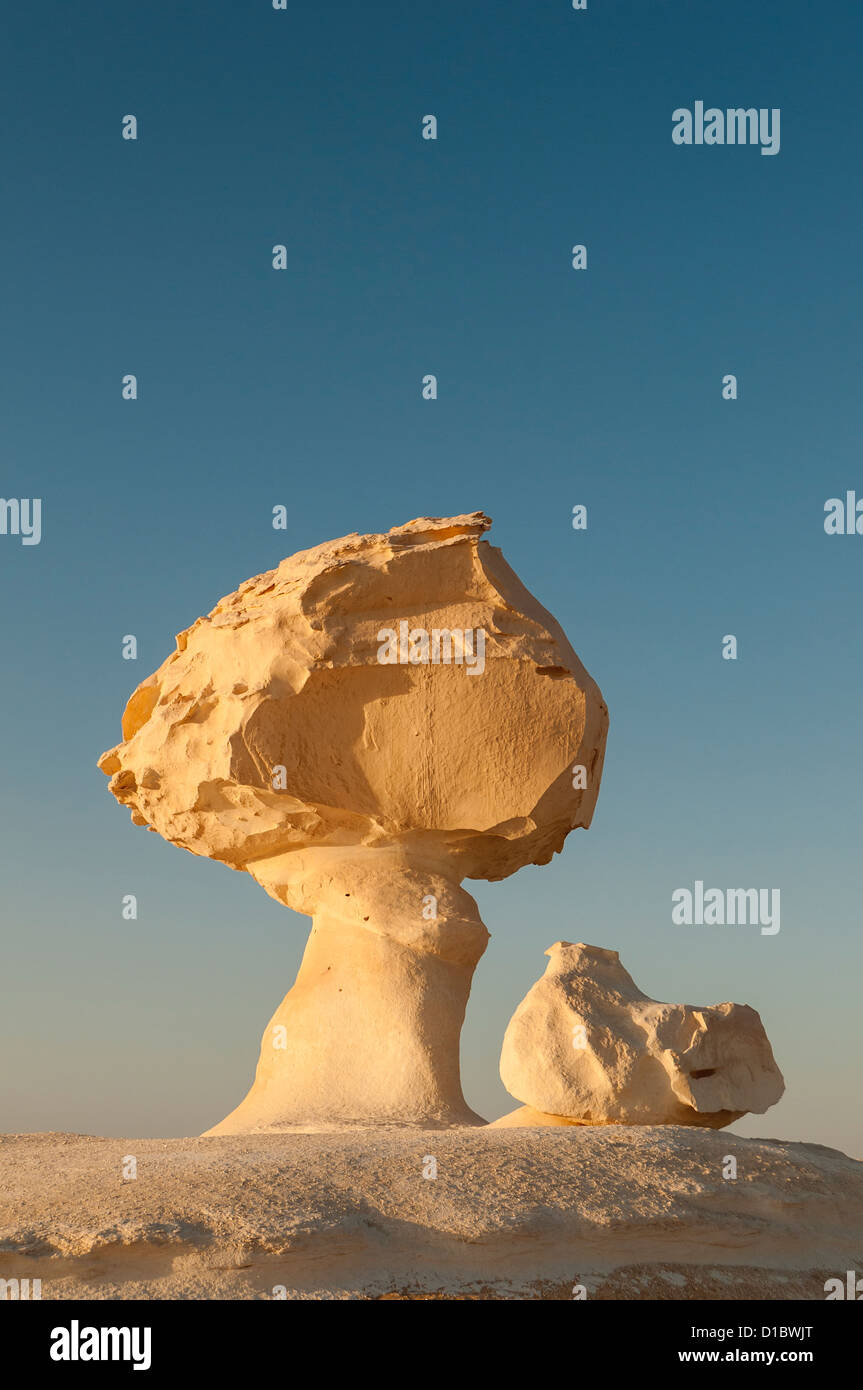 Pollo & Fungo Rock Formazione, White Desert (Sahara el Beyda), Egitto Foto Stock