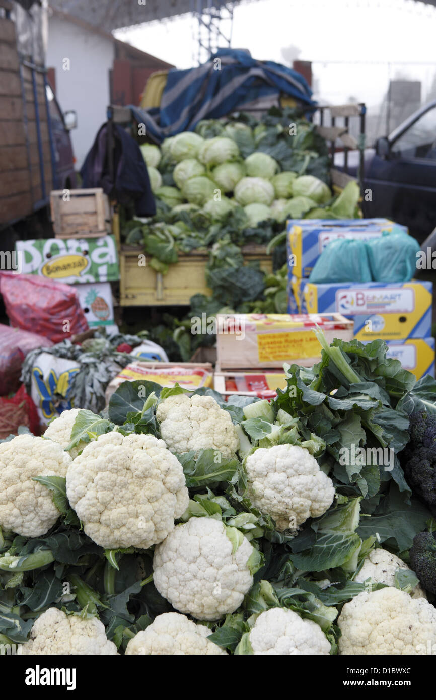 I cavolfiori per la vendita su uno stallo a San Fernando street market, nella provincia di Colchagua, centro Cile America del Sud Foto Stock