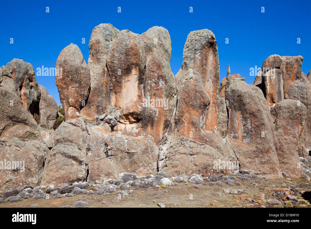 Il Rafu flusso di lava con le sue bizzarre formazioni rocciose, Sanetti Plateau. La balla Mountains National Park, Etiopia. Foto Stock