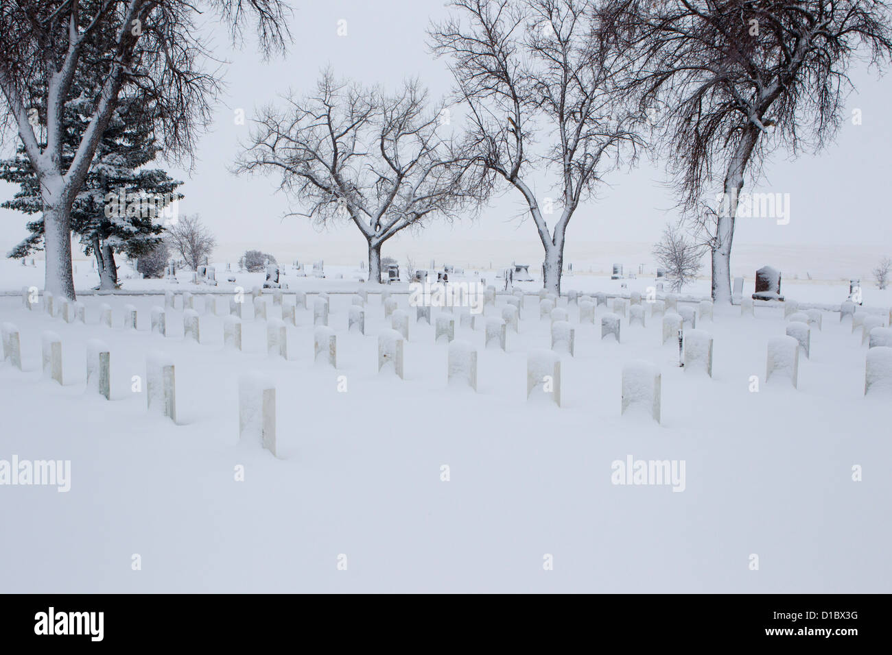 I veterani della guerra civile lo e i veterani di altri conflitti attraverso la prima guerra mondiale sono sepolti in un cimitero. Foto Stock