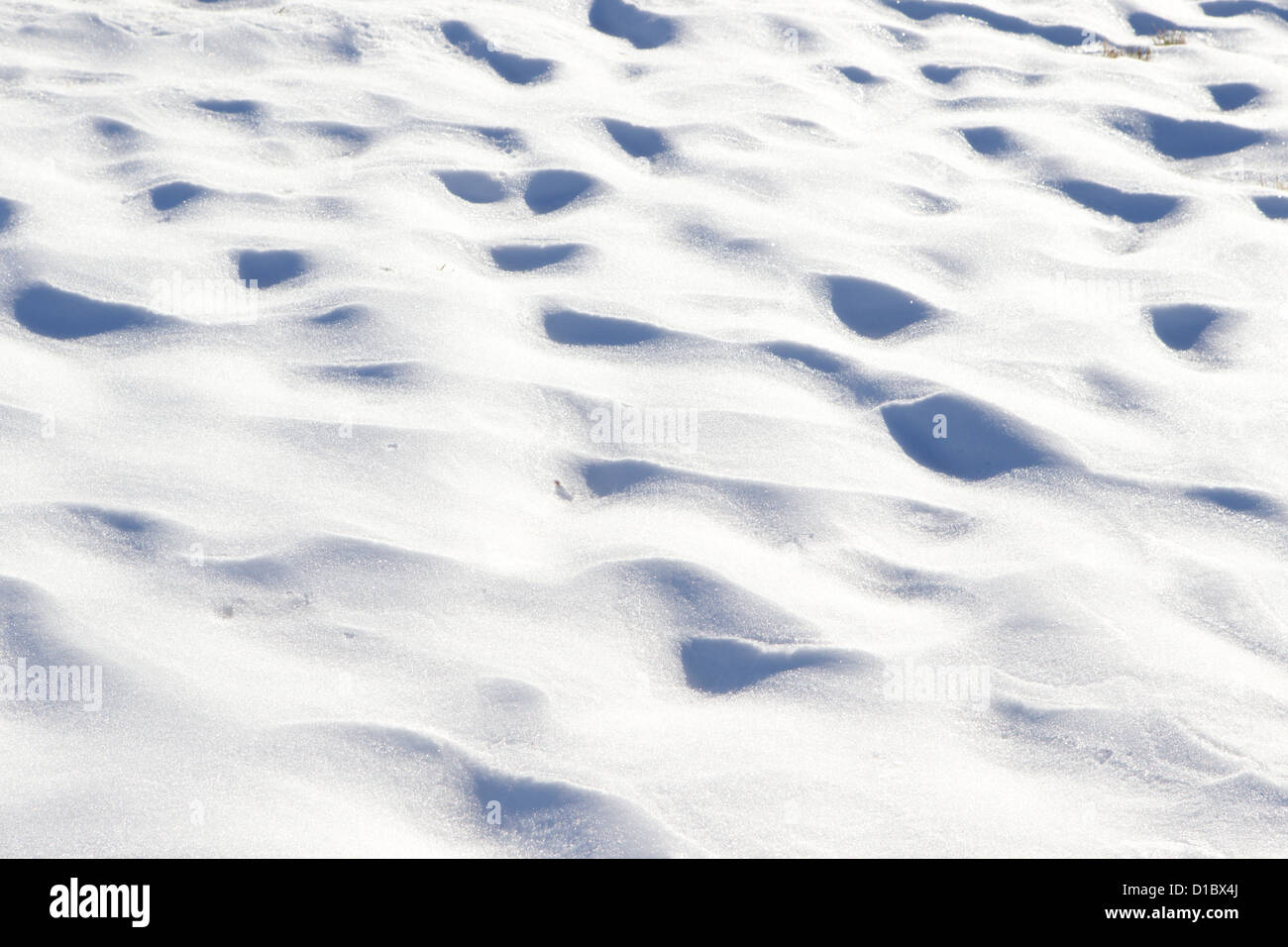 Campo di Neve smerlata dal vento. Foto Stock