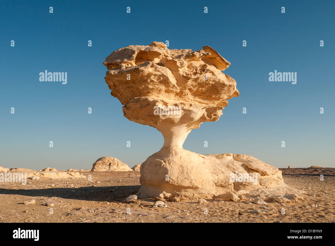 Fungo formazioni rocciose, White Desert (Sahara el Beyda), Egitto Foto Stock