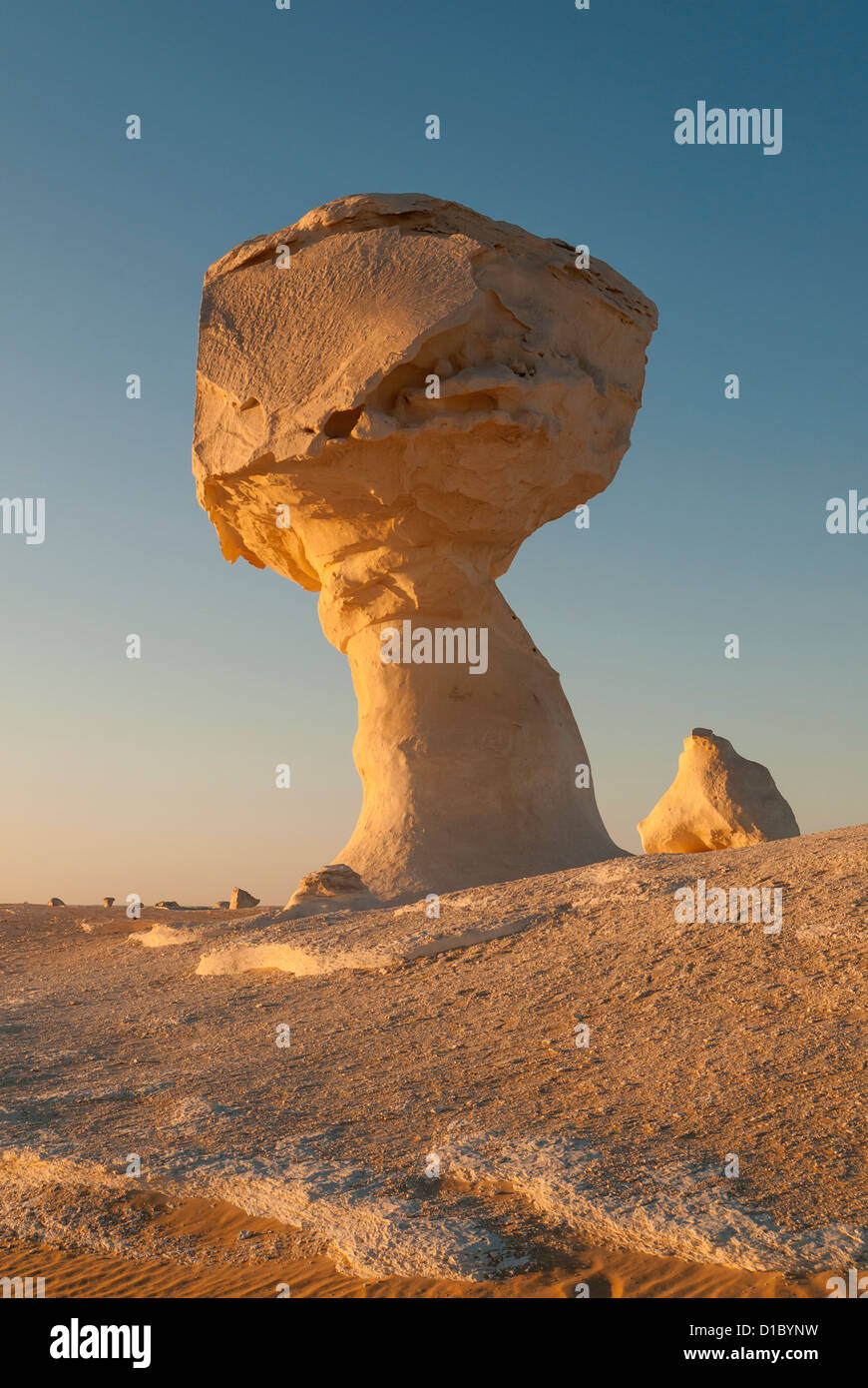 Pollo & Fungo Rock Formazione, White Desert (Sahara el Beyda), Egitto Foto Stock