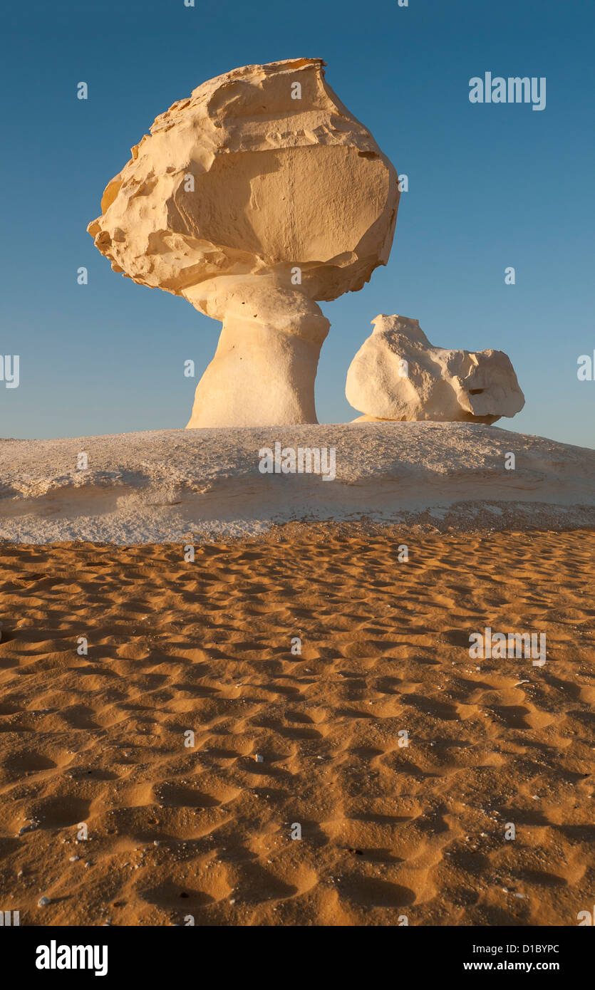 Pollo & Fungo Rock Formazione, White Desert (Sahara el Beyda), Egitto Foto Stock