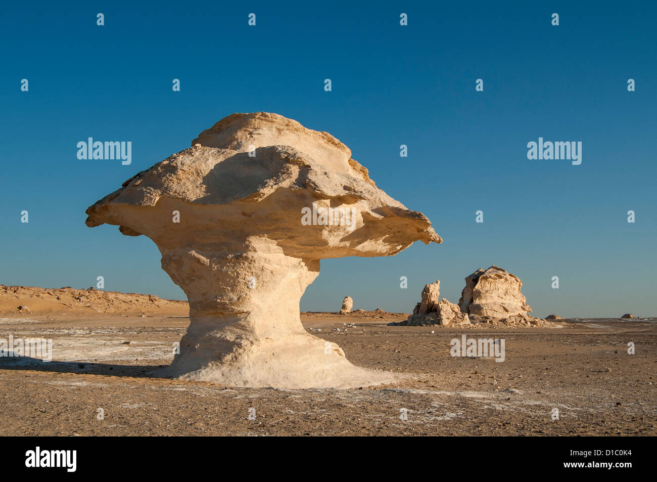 Fungo formazioni rocciose, White Desert (Sahara el Beyda), Egitto Foto Stock