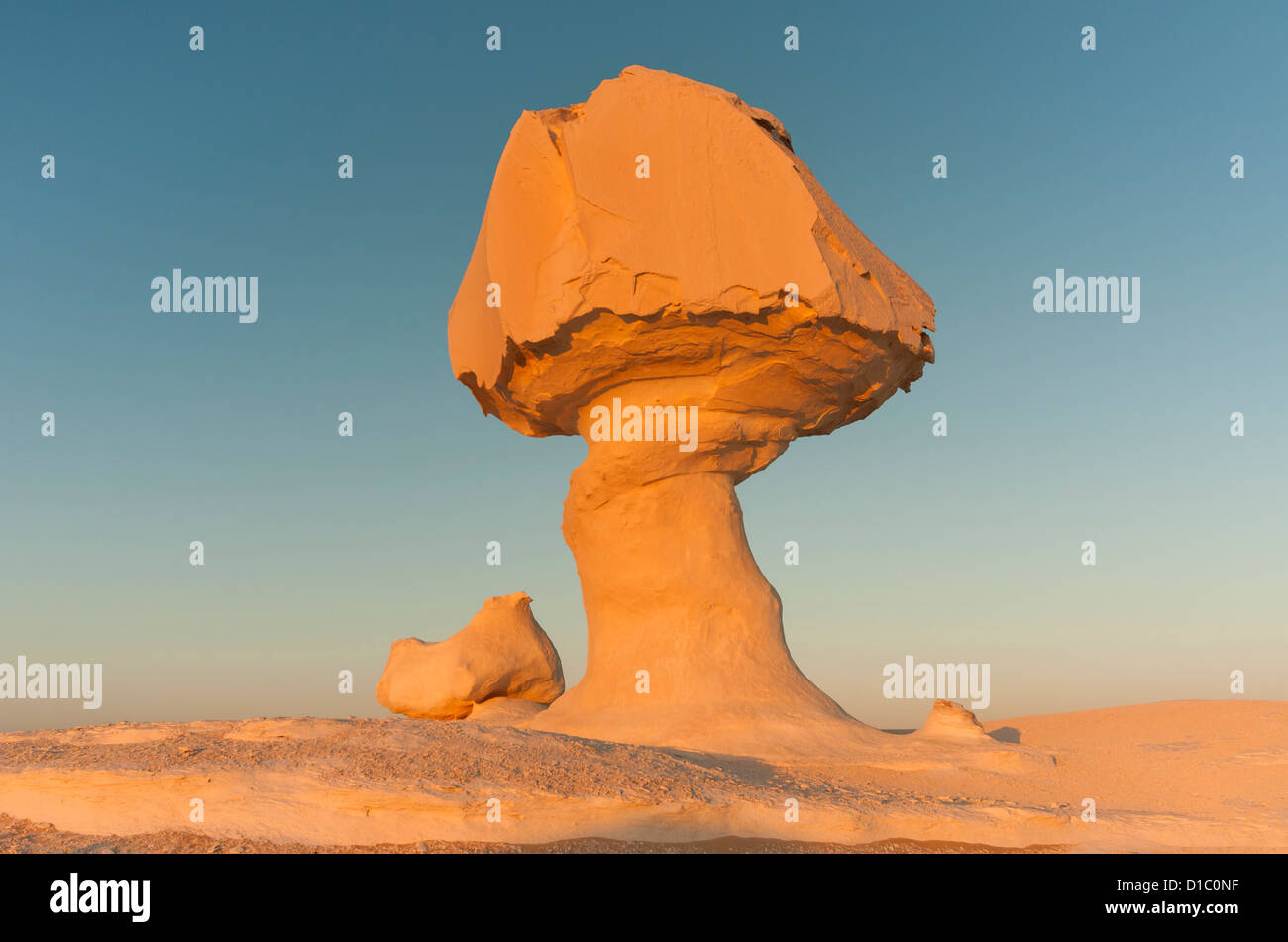 Pollo & Fungo Rock Formazione, White Desert (Sahara el Beyda), Egitto Foto Stock