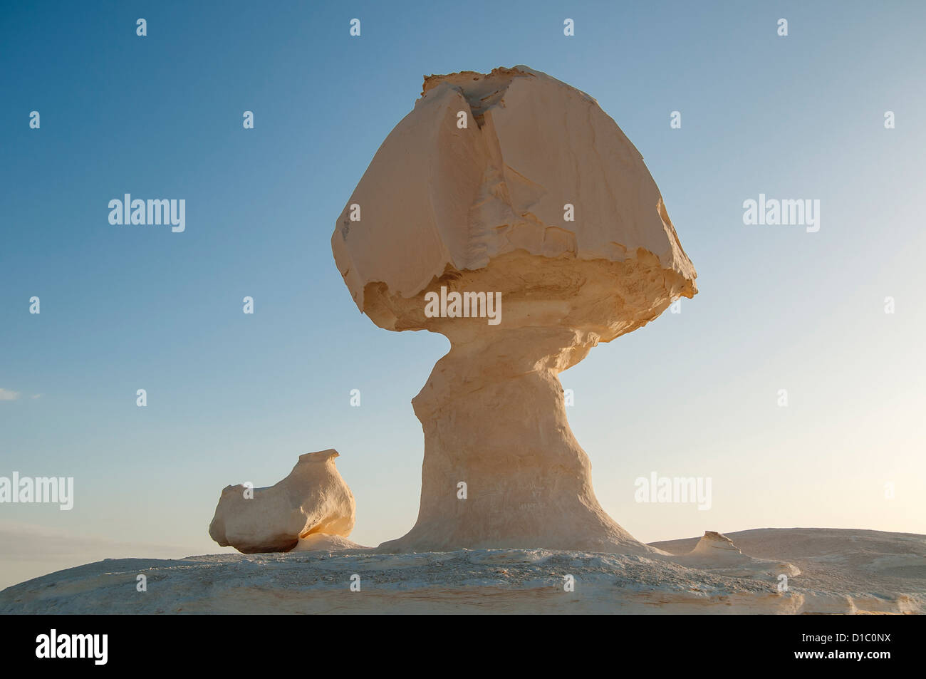 Pollo & Fungo Rock Formazione, White Desert (Sahara el Beyda), Egitto Foto Stock