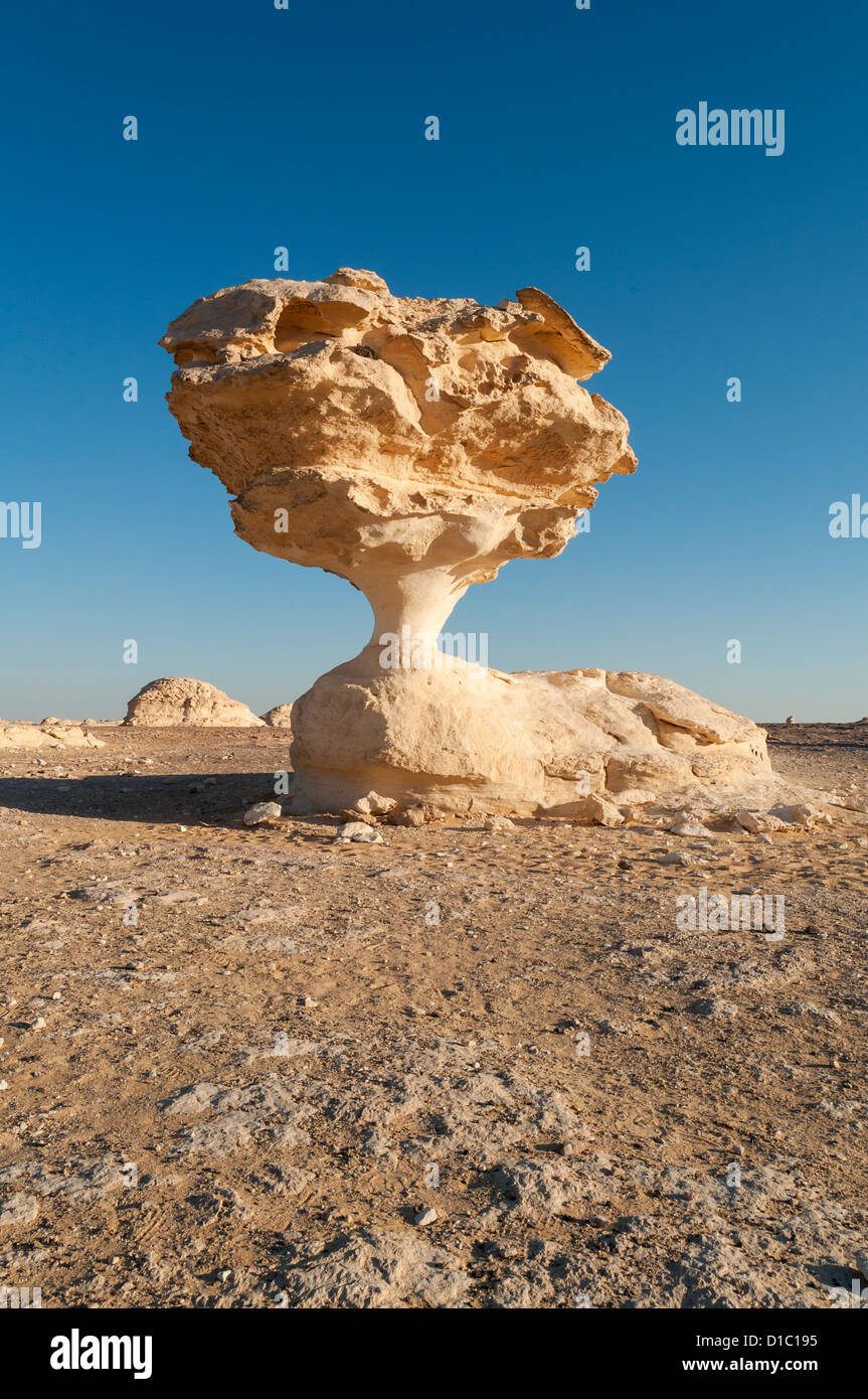 Fungo formazioni rocciose, White Desert (Sahara el Beyda), Egitto Foto Stock