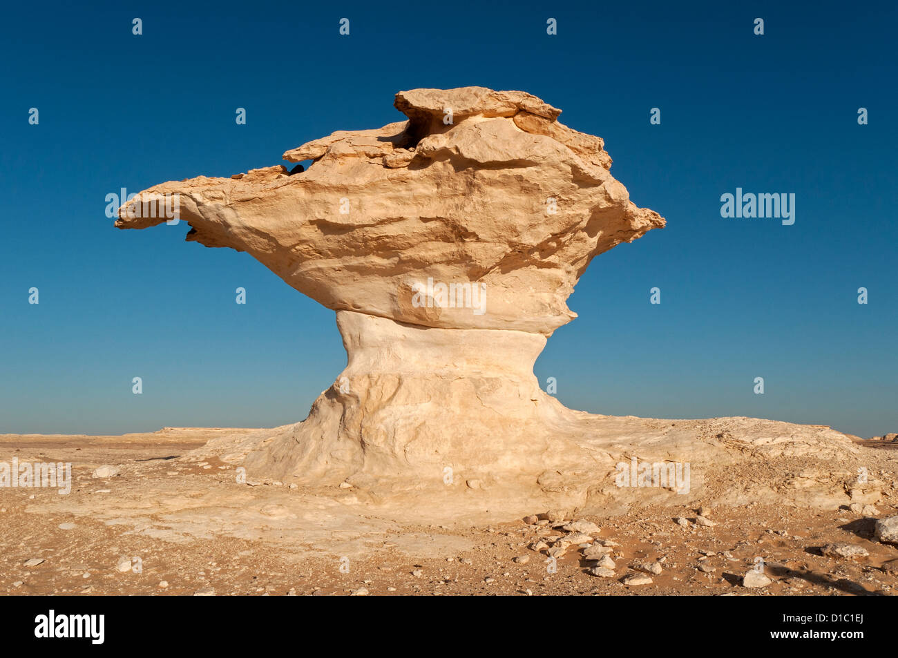 Fungo formazioni rocciose, White Desert (Sahara el Beyda), Egitto Foto Stock