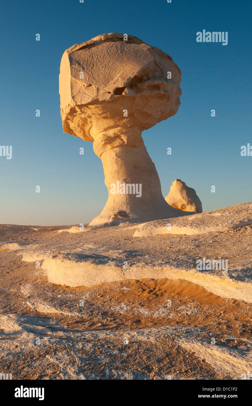 Pollo & Fungo Rock Formazione, White Desert (Sahara el Beyda), Egitto Foto Stock