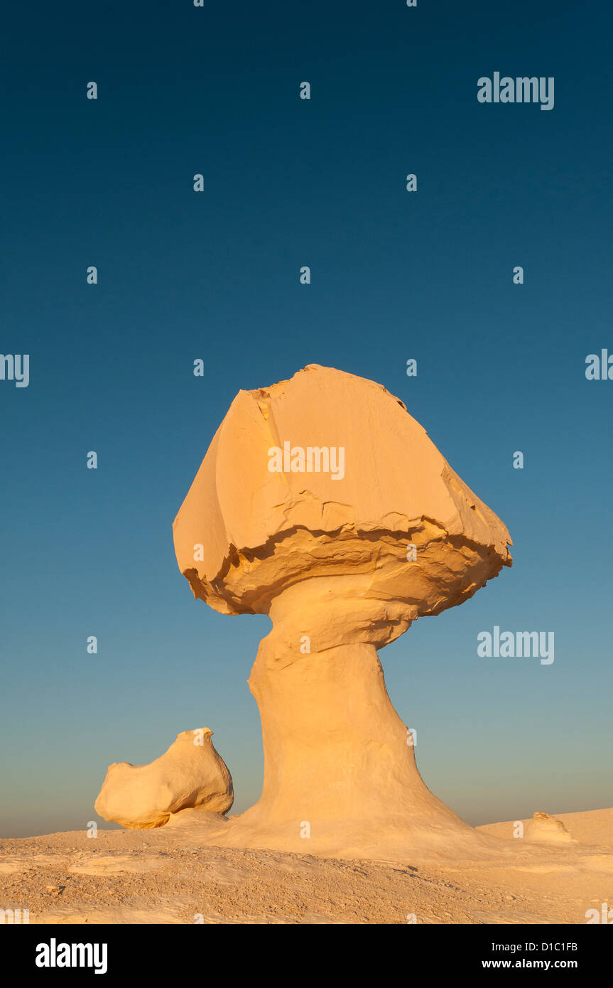 Pollo & Fungo Rock Formazione, White Desert (Sahara el Beyda), Egitto Foto Stock