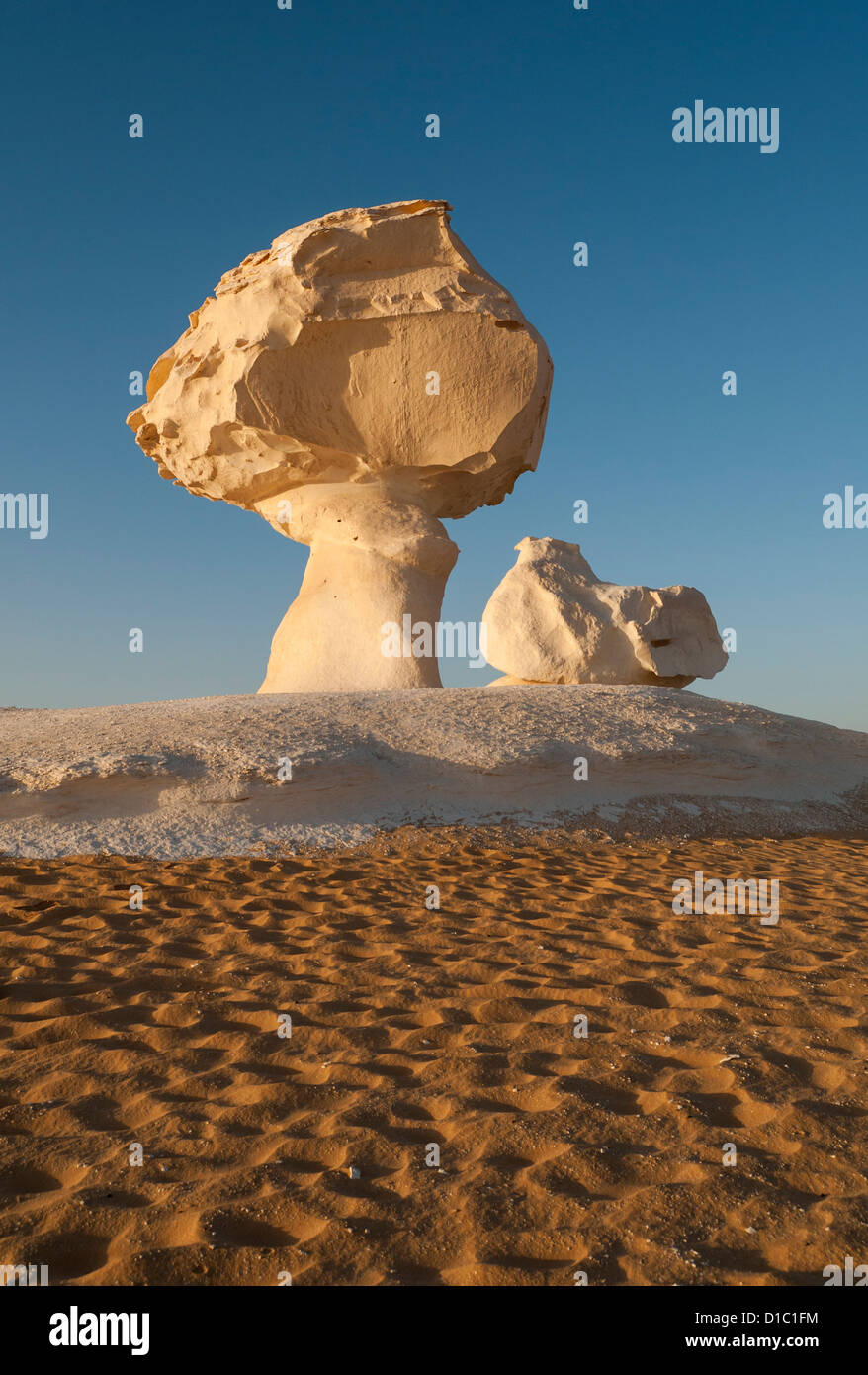 Pollo & Fungo Rock Formazione, White Desert (Sahara el Beyda), Egitto Foto Stock