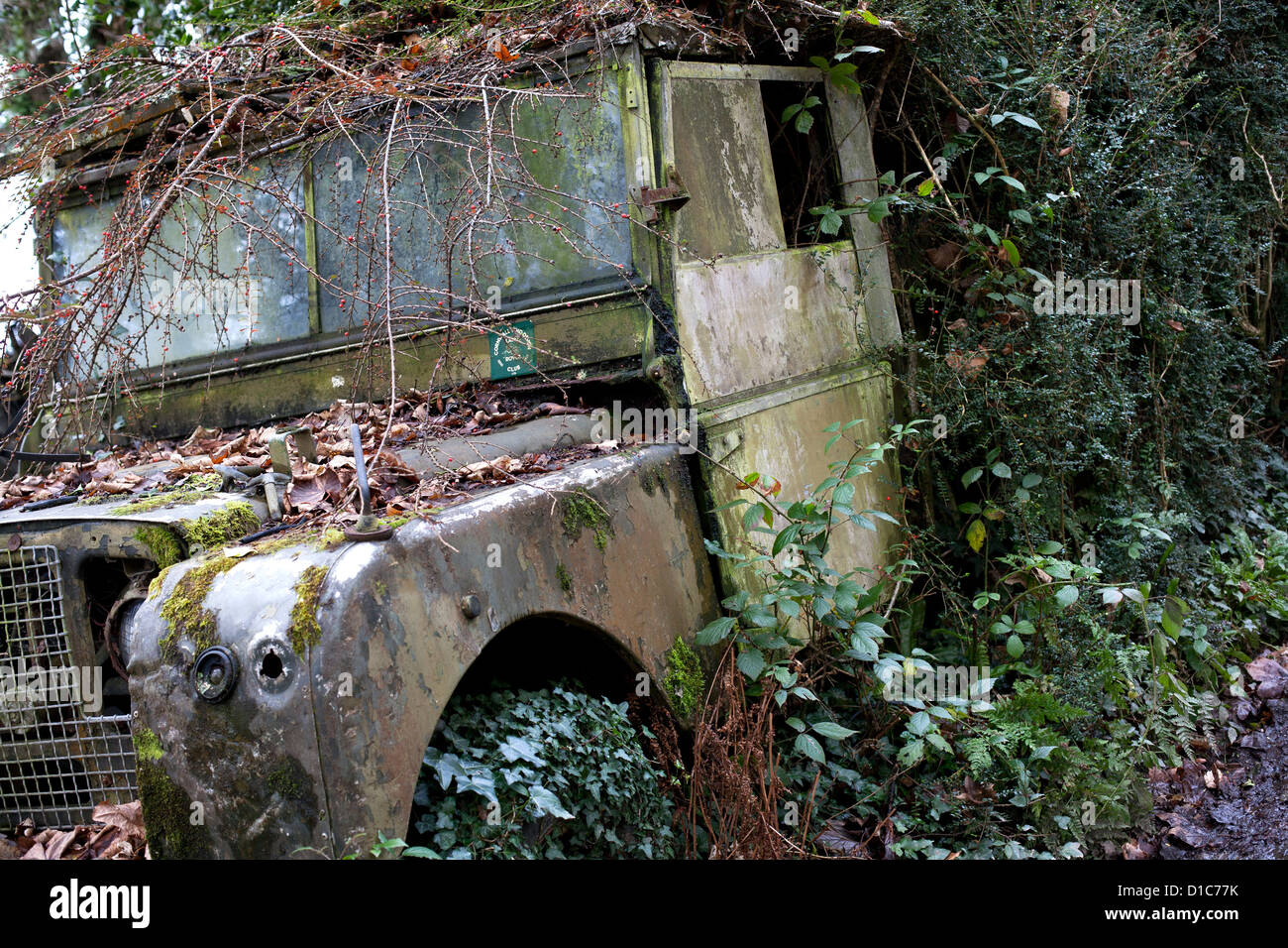 Un vecchio militare inglese Land Rover marcisce in una siepe dal lato di una strada in Cornovaglia. Foto Stock