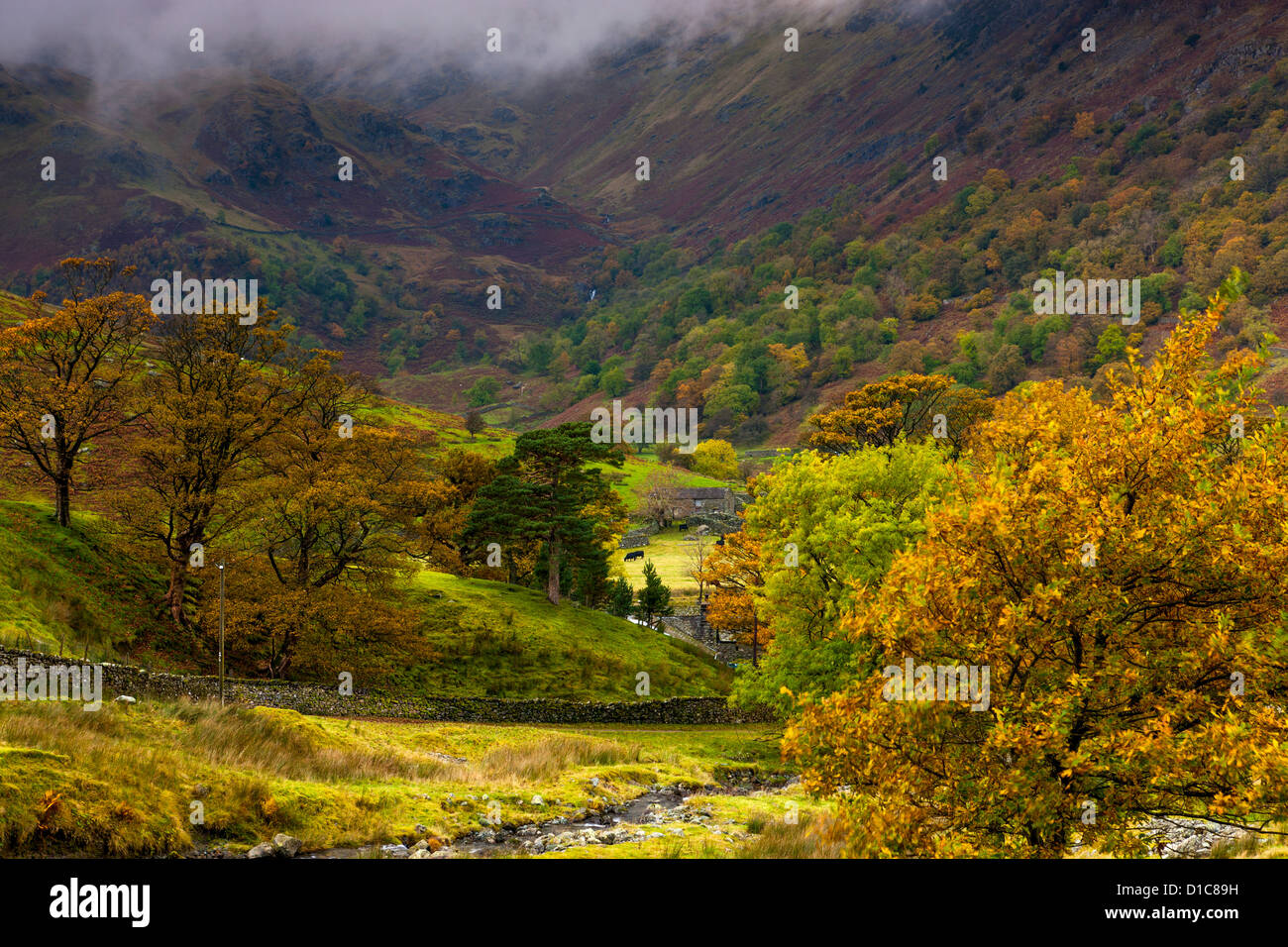 Paesaggio autunnale, Dovedale valley nel Parco Nazionale del Distretto dei Laghi. Foto Stock