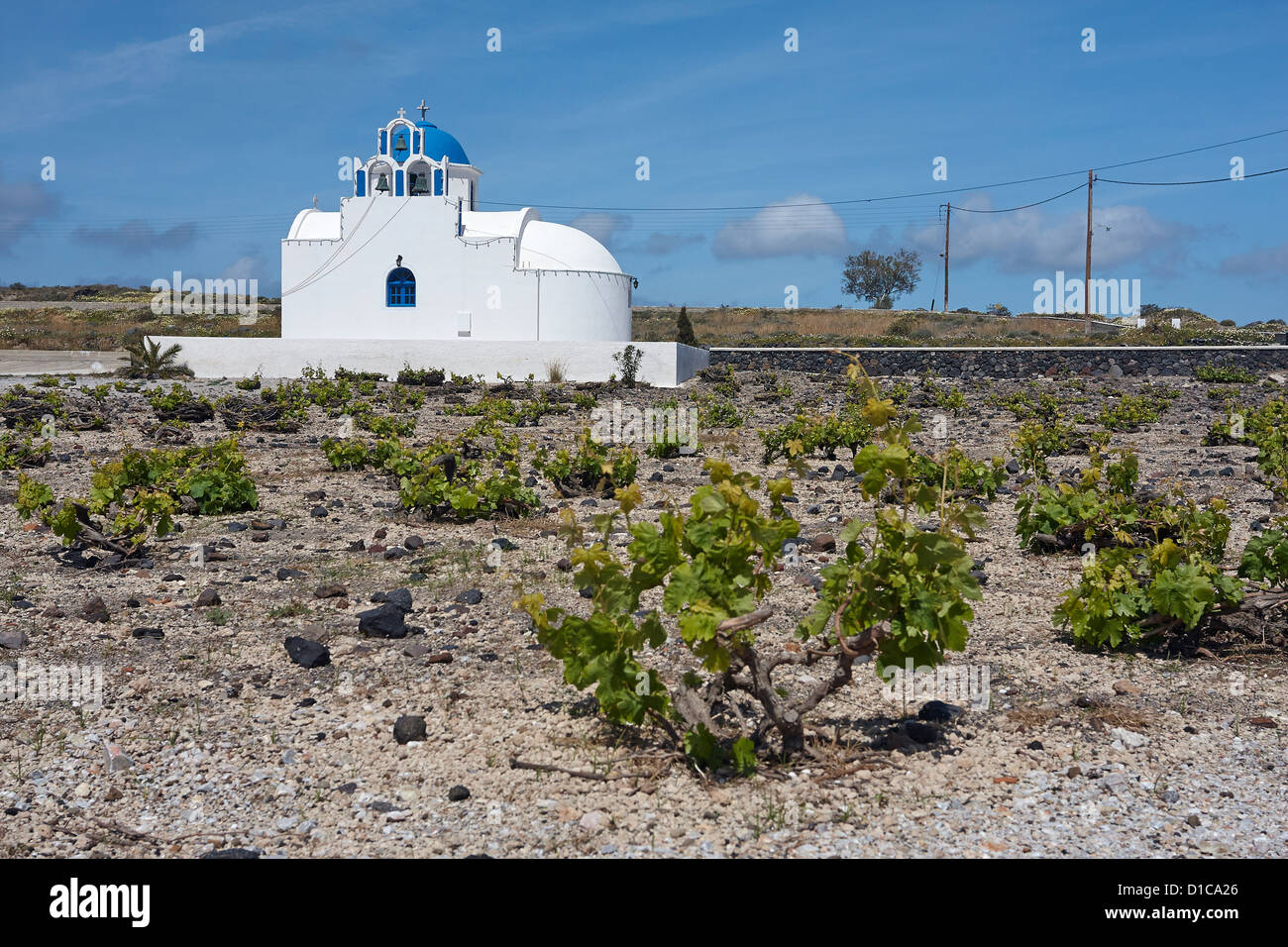 Una cappella circondata da basse vitigni, Santorini, Grecia Foto Stock