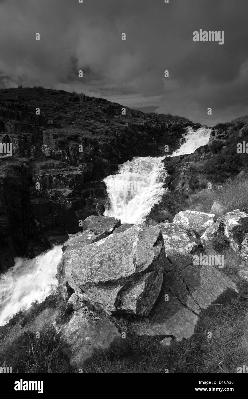 Immagine panoramica, Calderone muso cascata, Fiume Tees, casa Moro Riserva Naturale Nazionale, Superiore Teesdale, Contea di Durham Foto Stock