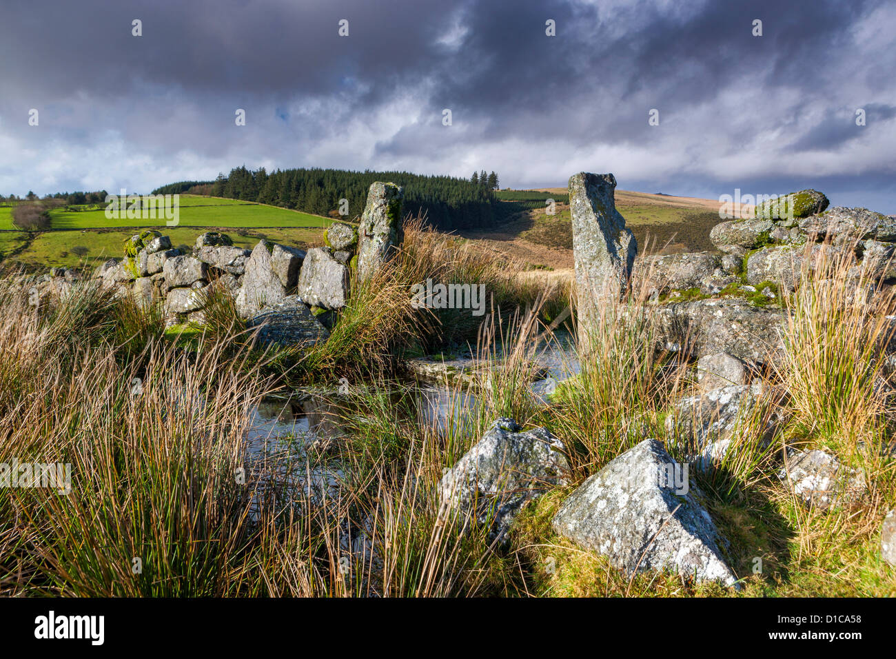 Valle del West Dart River vicino a due ponti nel Parco Nazionale di Dartmoor. Foto Stock