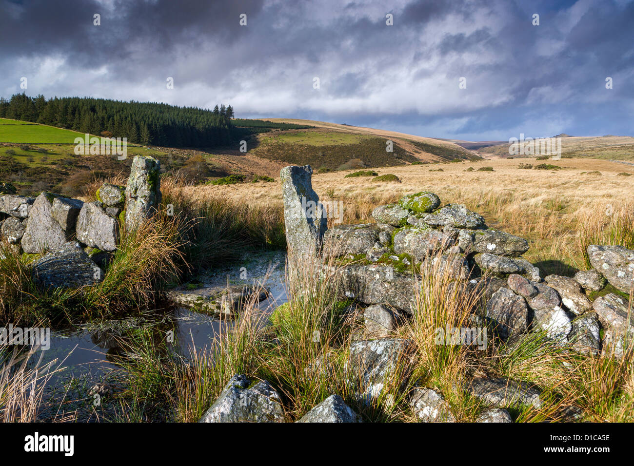 Valle del West Dart River vicino a due ponti nel Parco Nazionale di Dartmoor. Foto Stock