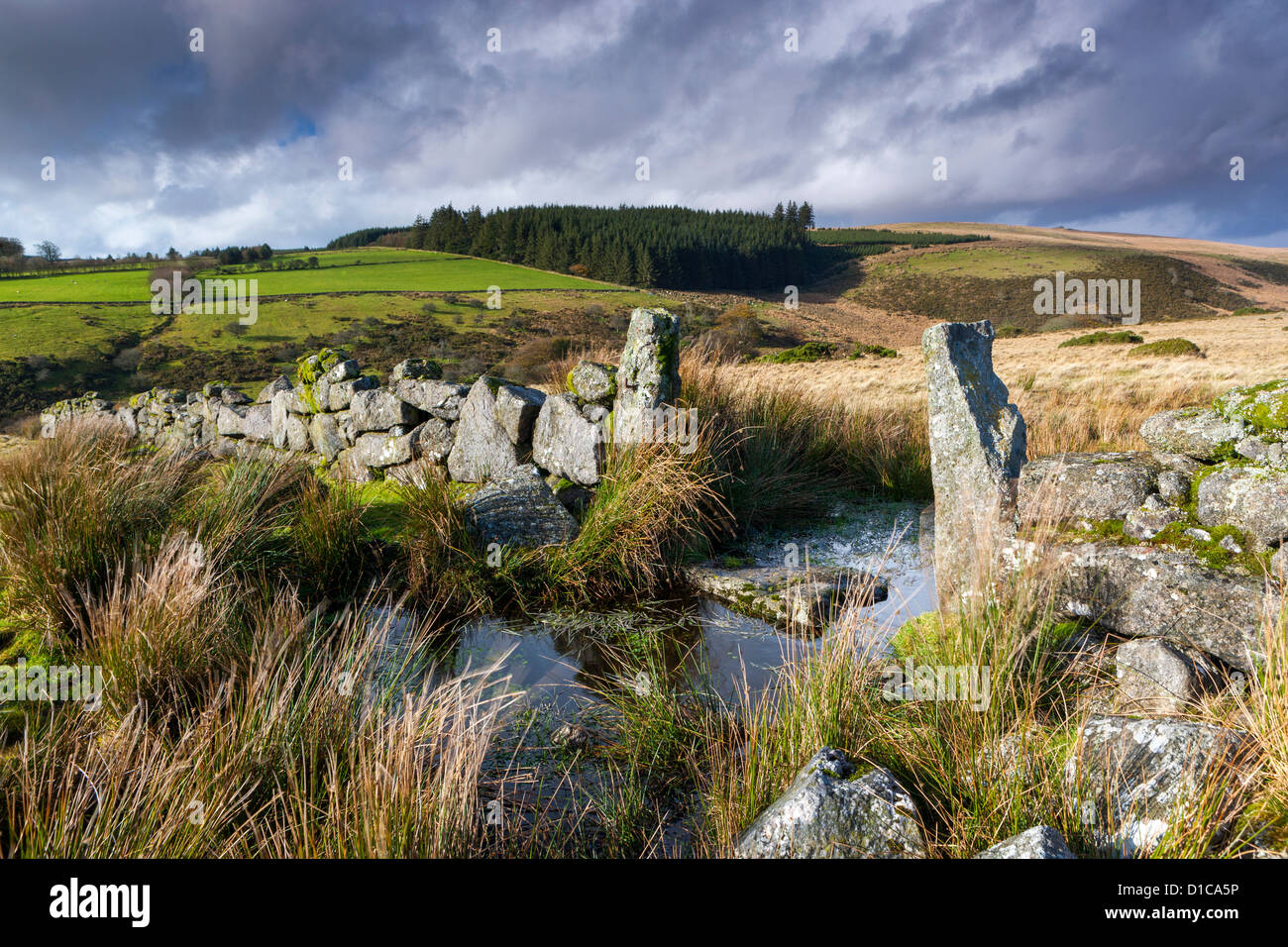 Valle del West Dart River vicino a due ponti nel Parco Nazionale di Dartmoor. Foto Stock