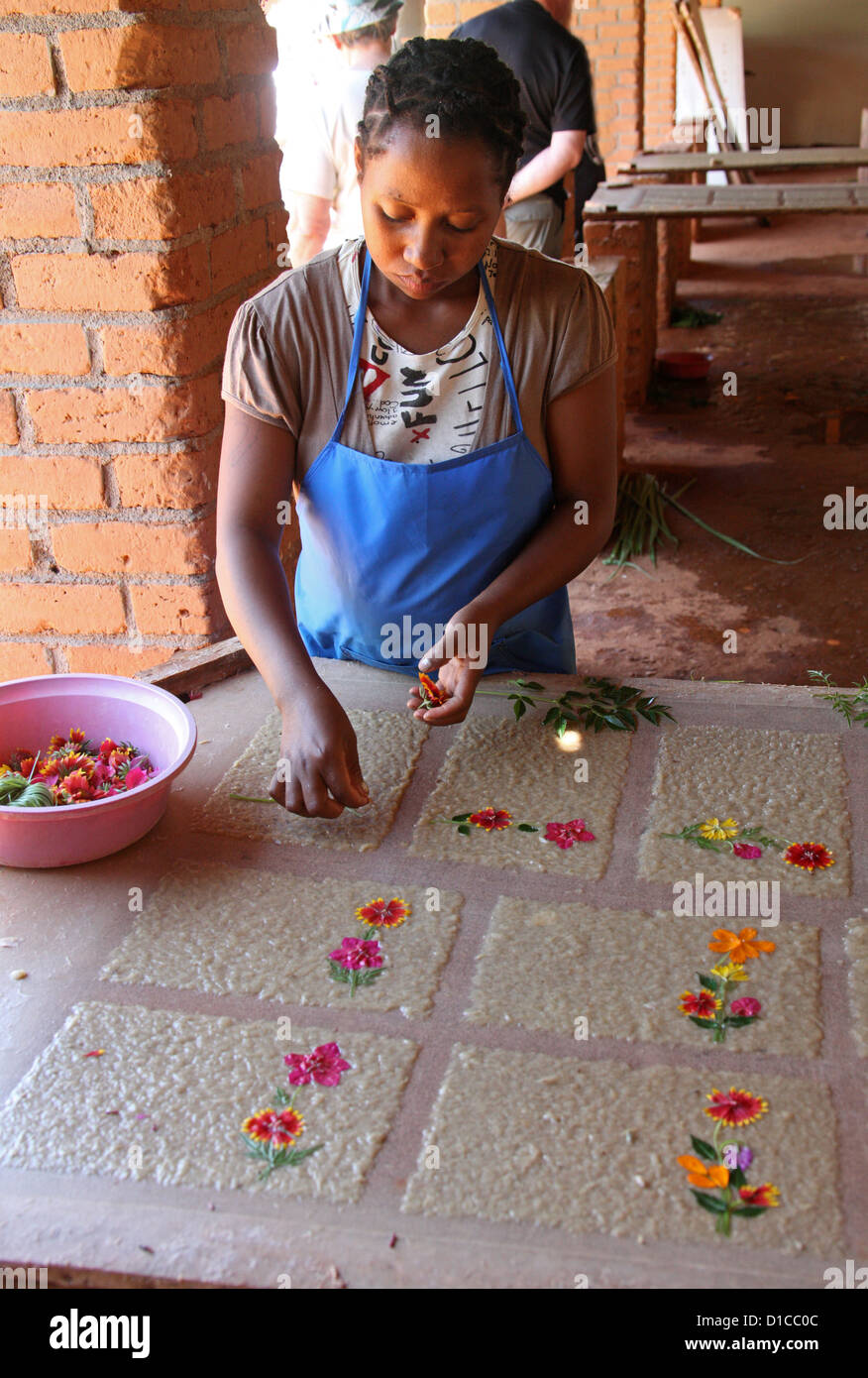 Donna malgascia da Ambalavao, Sud del Madagascar, Africa. Rendendo Antemoro carta pergamena dalla corteccia dell'albero Havoha. Foto Stock