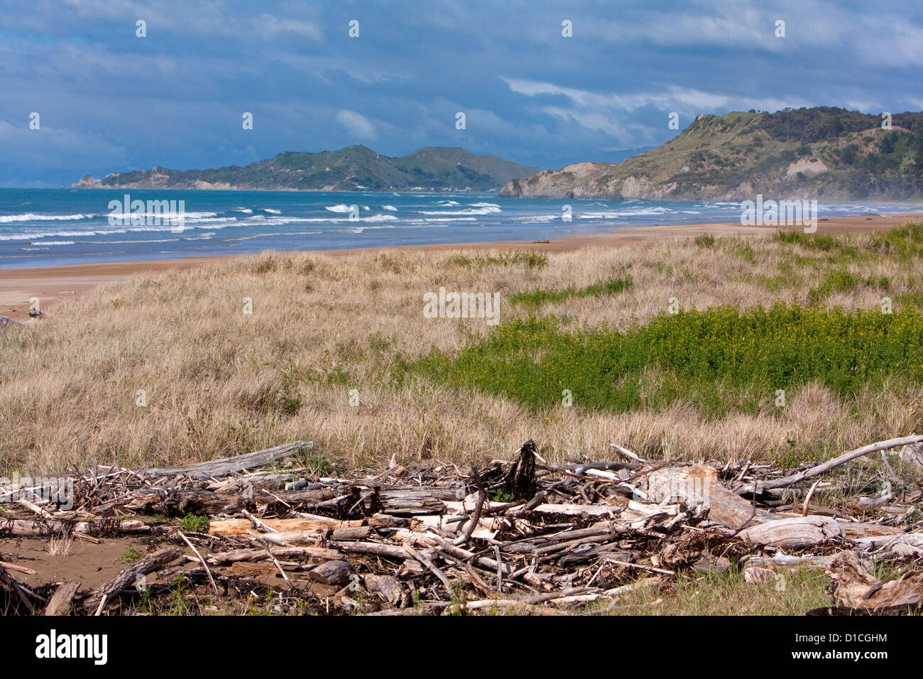 Oceano Pacifico, Driftwood e spiaggia, guardando verso Wainoe Beach e a Gisborne, Isola del nord, Nuova Zelanda. Foto Stock