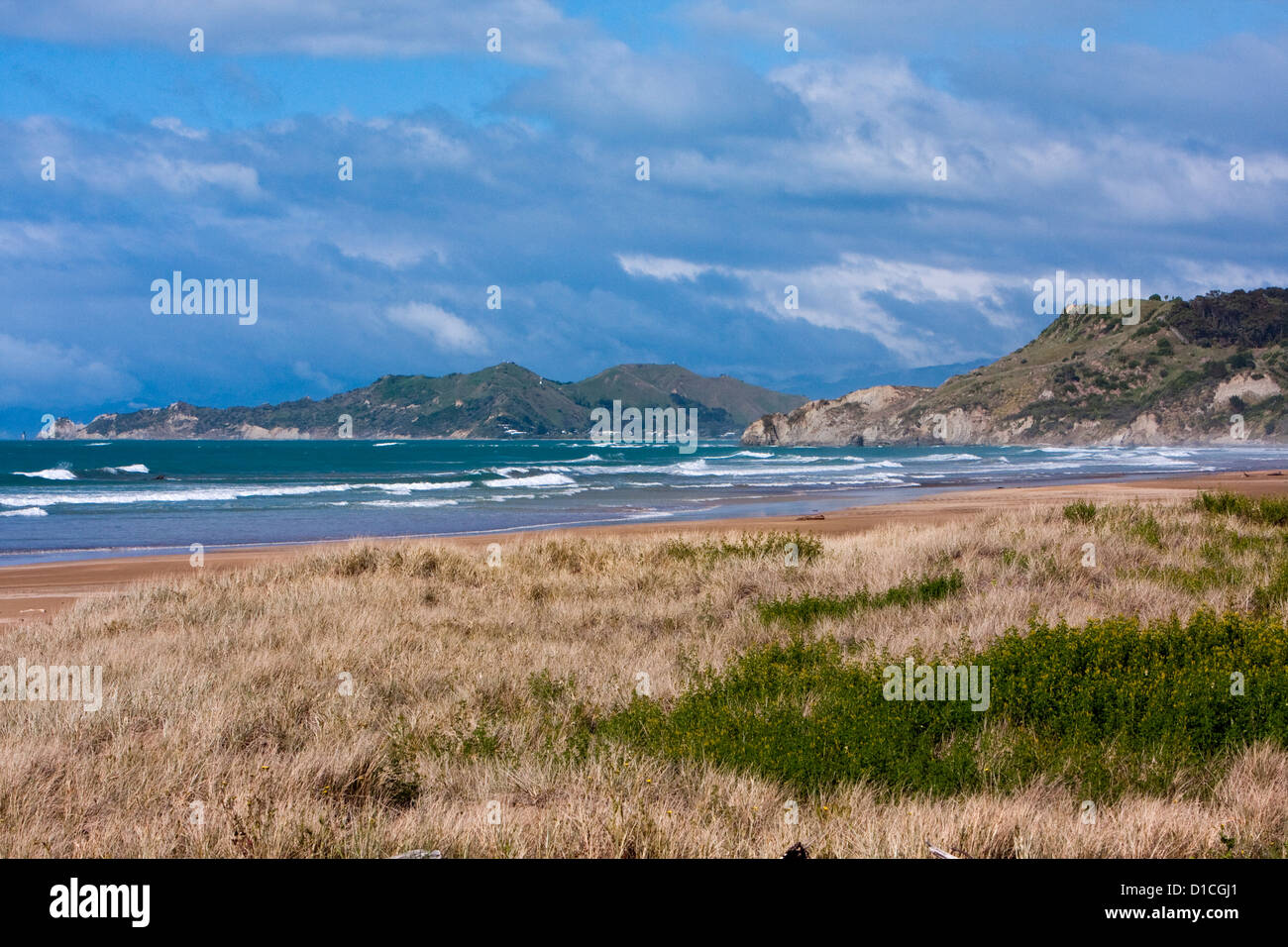 Oceano Pacifico e spiaggia, guardando verso Wainoe Beach e a Gisborne, Isola del nord, Nuova Zelanda. Foto Stock