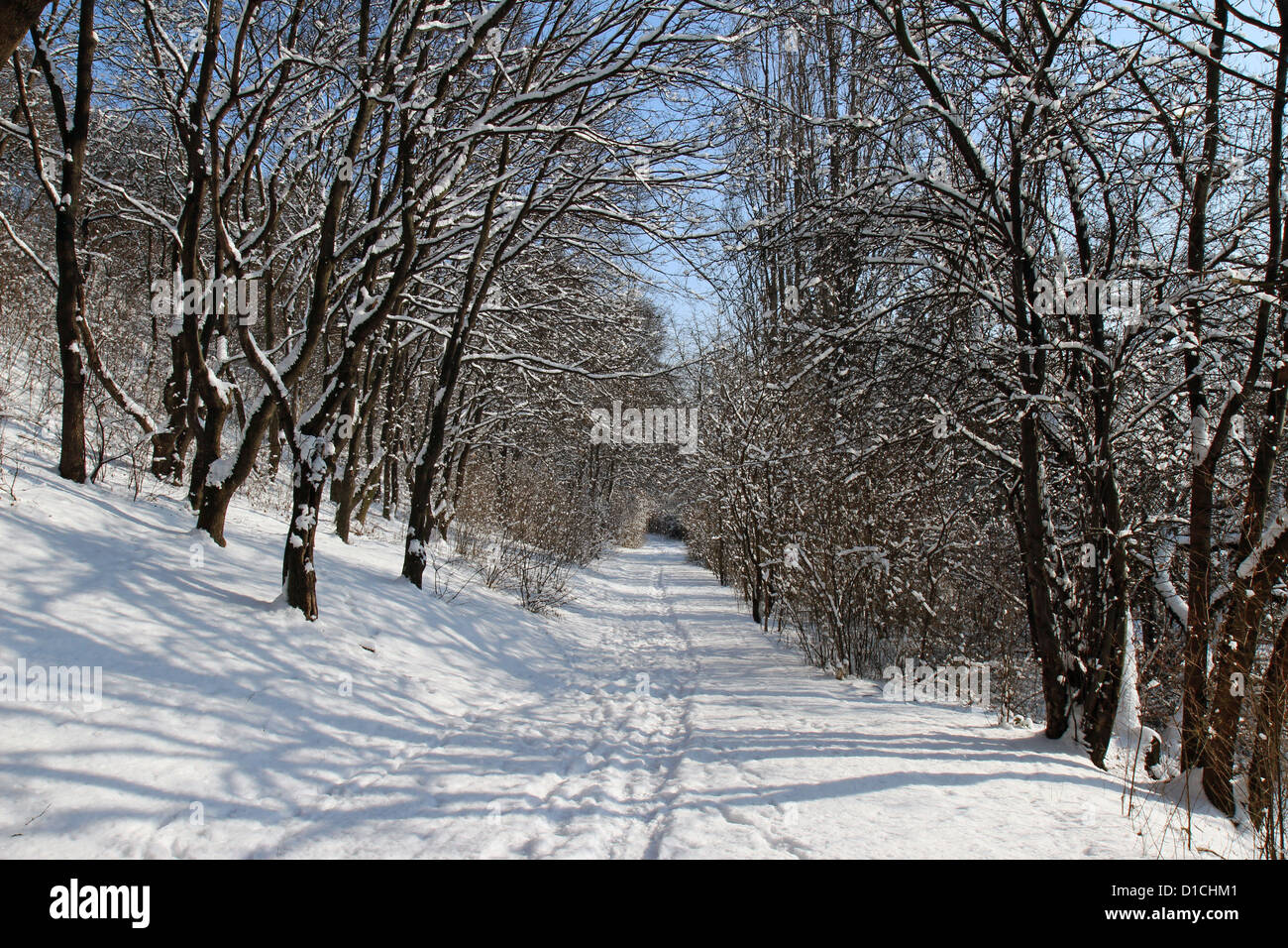 Inverno strada piena di neve nella giornata di sole Foto Stock