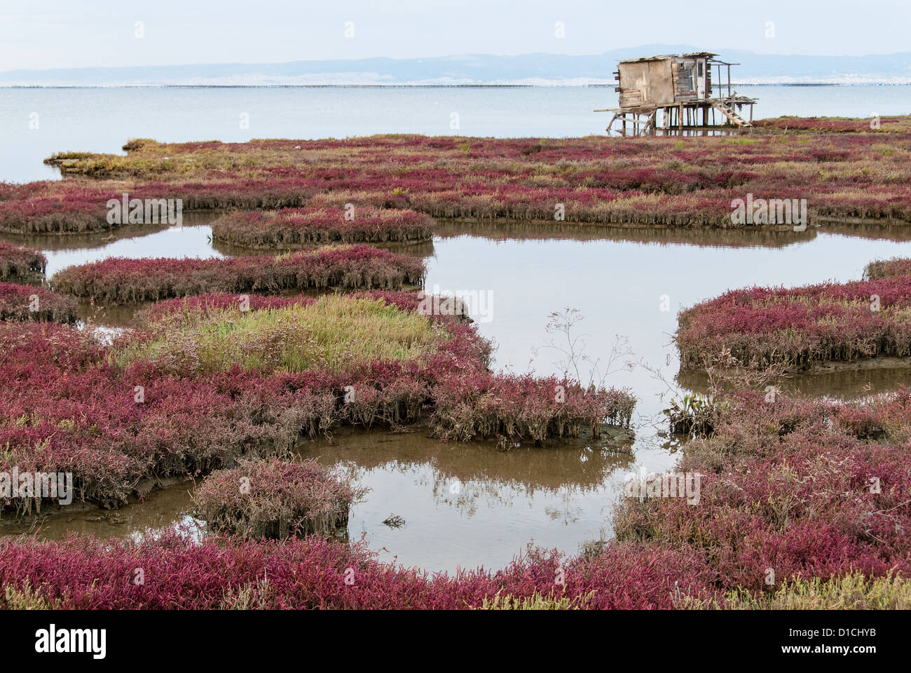Paesaggio in Axios Delta, vicino a Salonicco, Grecia. Axios o Vardaris è il secondo fiume più grande nei Balcani. Foto Stock