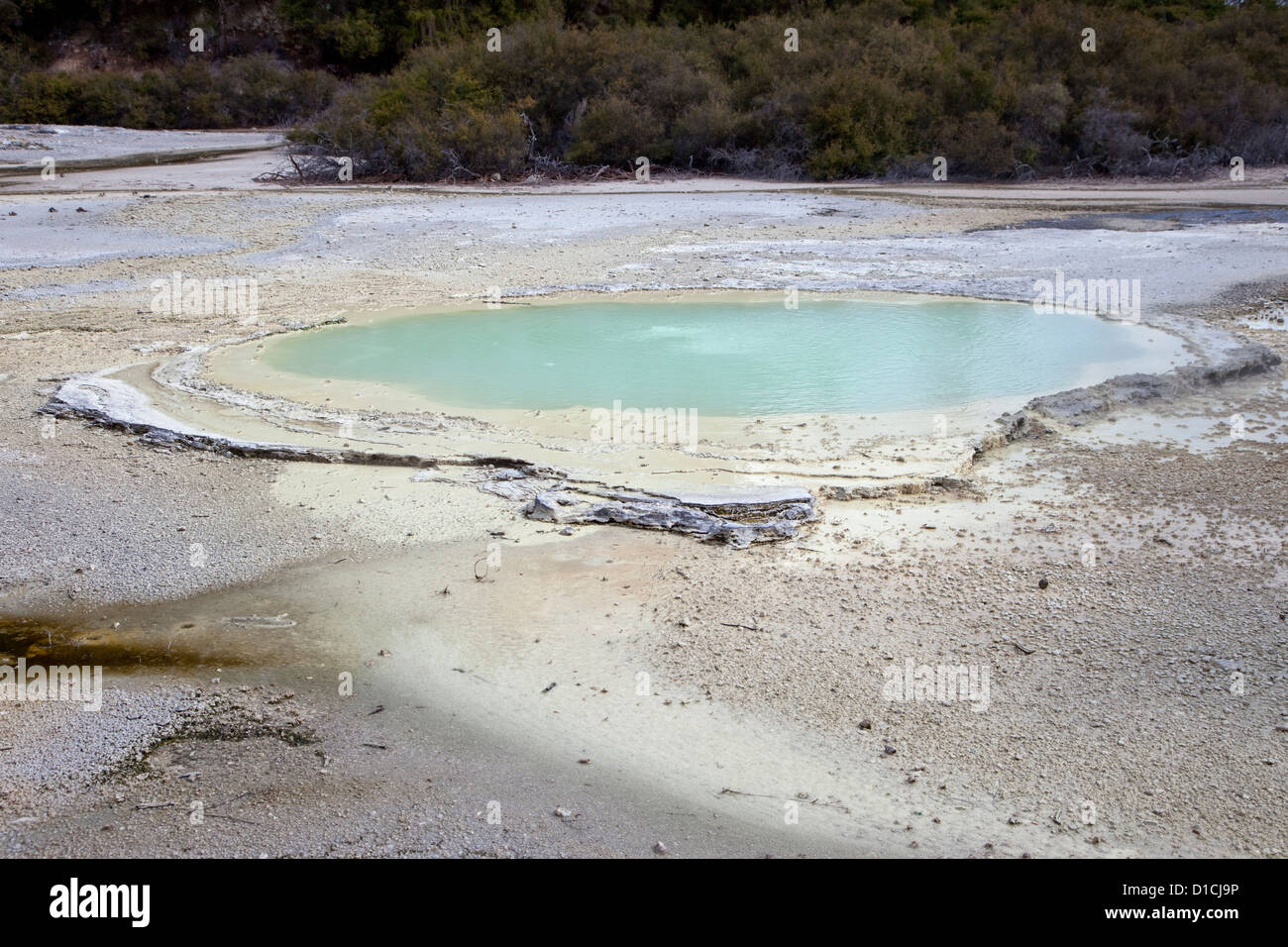 La piscina di ostriche, Waiotapu zona termale, vicino a Rotorua, Isola del nord, Nuova Zelanda--un naturale piscina sulfurea. Foto Stock