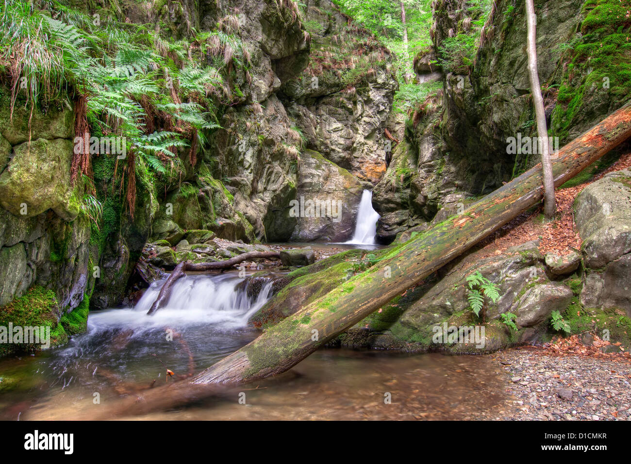 Nyznerov cascate - Argento brook, Moravia Repubblica Ceca Foto Stock
