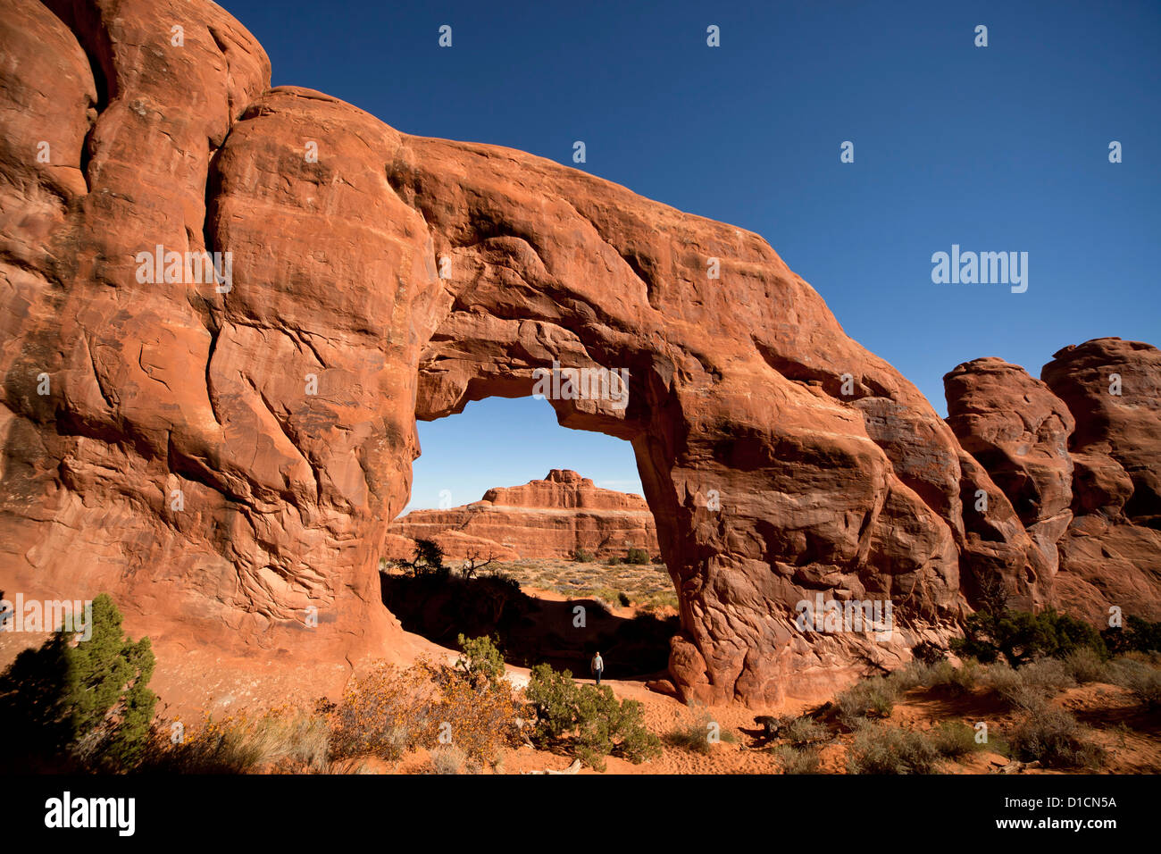 Pino Arch al Giardino del Diavolo, Parco Nazionale Arches appena al di fuori del paese di Moab, Utah, Stati Uniti d'America, STATI UNITI D'AMERICA Foto Stock