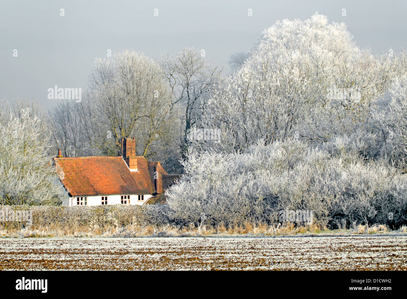 Inverno tempo campagna boschi alberi in terreno agricolo campo paesaggio con Brina di ruggito su hedgerow e paese cottage tetto inglese albero Essex Inghilterra Regno Unito Foto Stock
