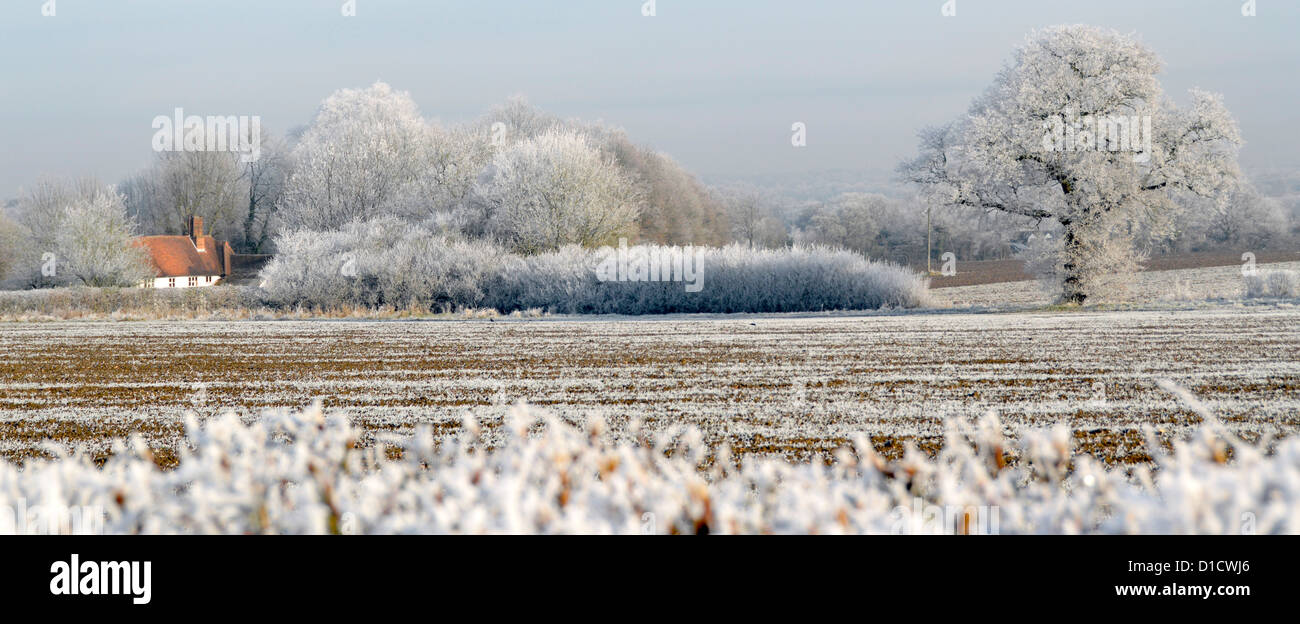 Inverno tempo campagna boschi alberi in terreni agricoli campi paesaggi con Brina di ruggito su hedgerow e paese cottage inglese quercia albero Essex Inghilterra Regno Unito Foto Stock