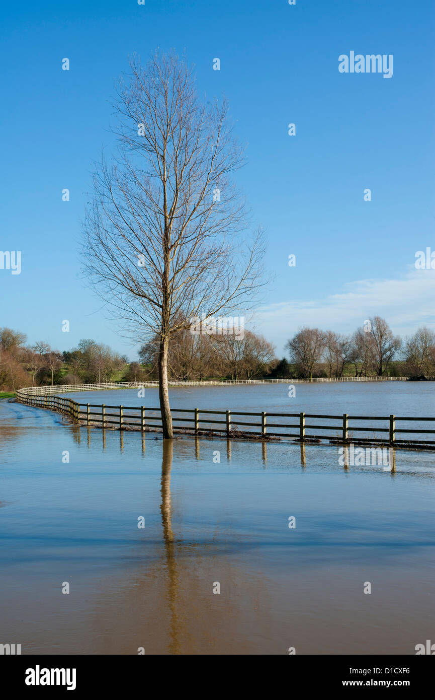 Le inondazioni nel novembre 2012 a Ouse Valley Park, Milton Keynes, Buckinghamshire, UK. Foto Stock