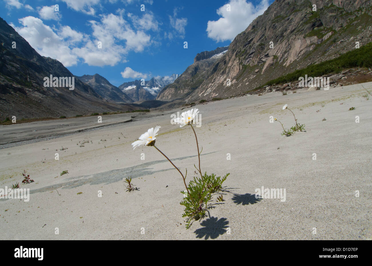 Limo glaciale pianura presso la testa del lago Lauteraar, alpi Bernesi, Switzerlland Foto Stock