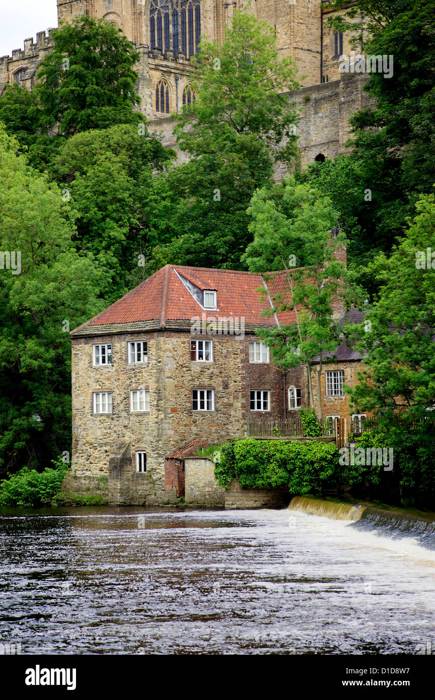 Una volta che una parte chiave di Durham il panno-fare industria, il vecchio Fulling Mill è ora home a Durham University di museo di archeologia Foto Stock