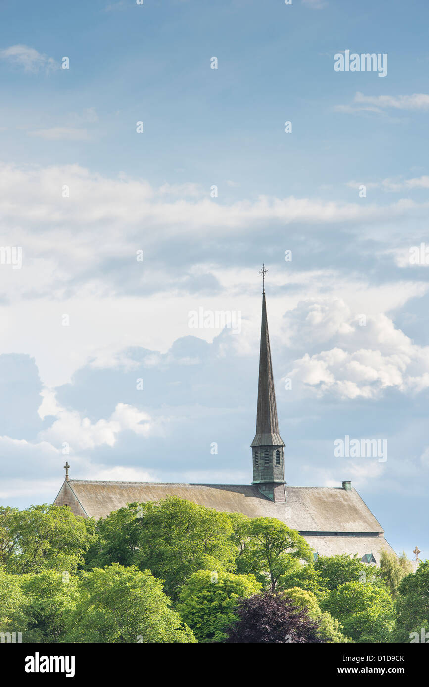 Vadstena Abbey, scandinavo chiesa nel paesaggio naturale circondato da alberi in estate. Foto Stock