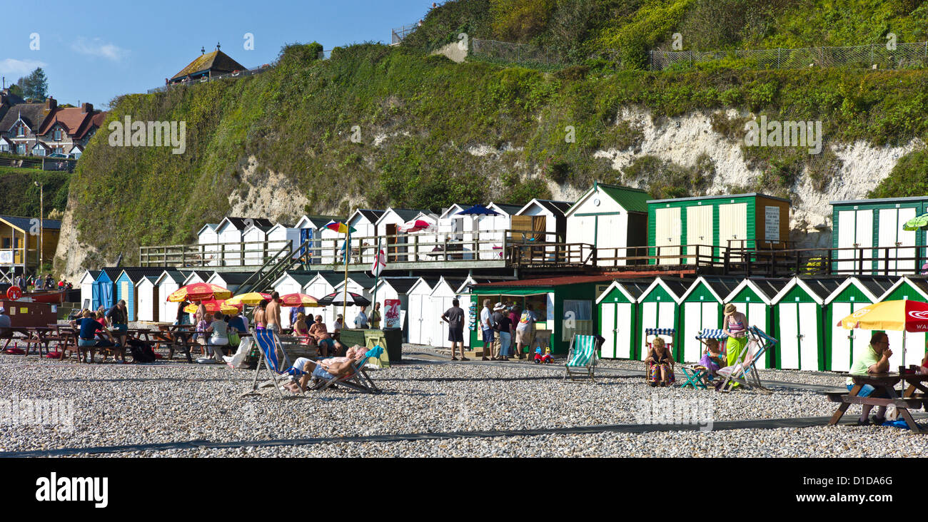 Beach Cafe, birra, East Devon, Regno Unito Foto Stock