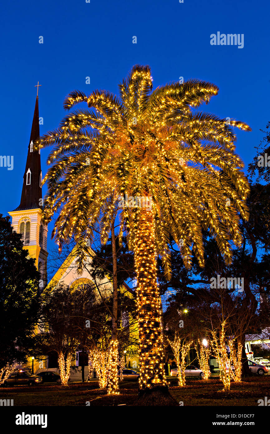 Palm tree coperti in fairy luci di Natale nel centro storico di Marion Square a Charleston, Carolina del Sud. Foto Stock
