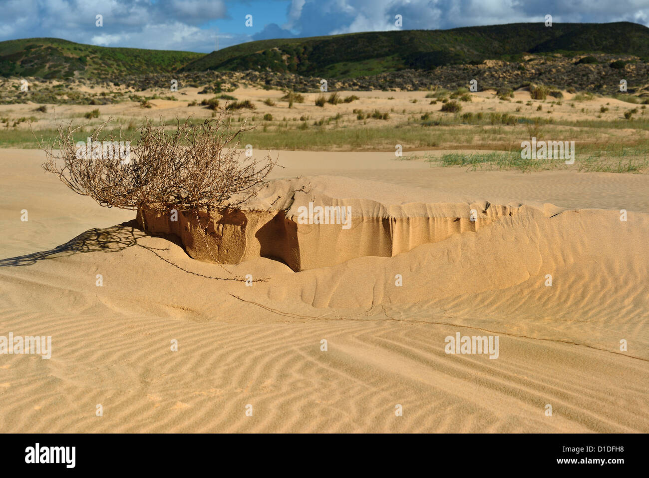 Il Portogallo, Algarve: formazioni di sabbia in spiaggia Praia da Bordeira Foto Stock