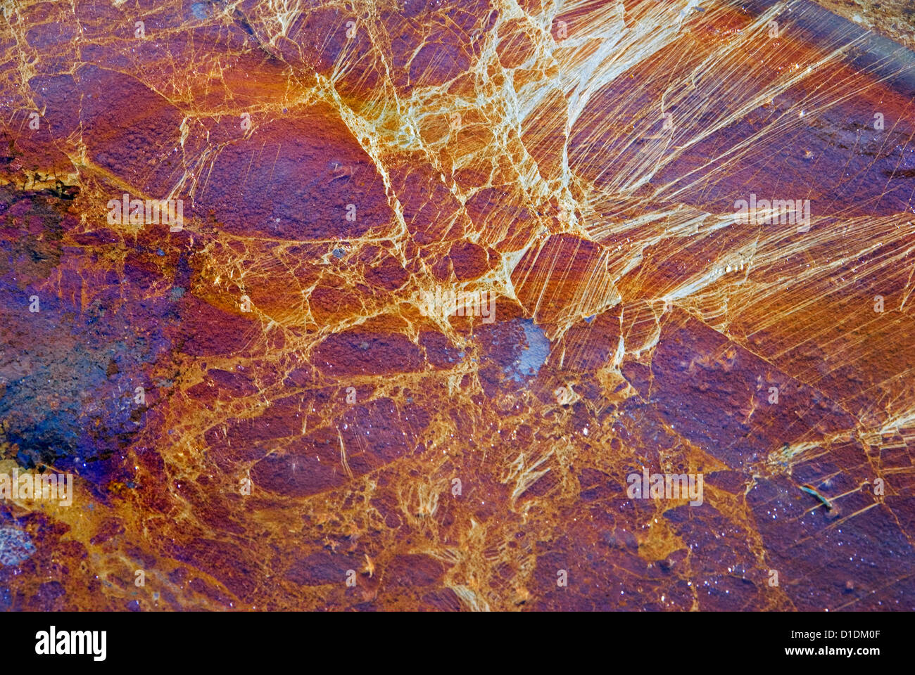 Modello di ossido di ferro sulla superficie di un torrente nel Parco Nazionale di Canyonlands, Utah. Foto Stock