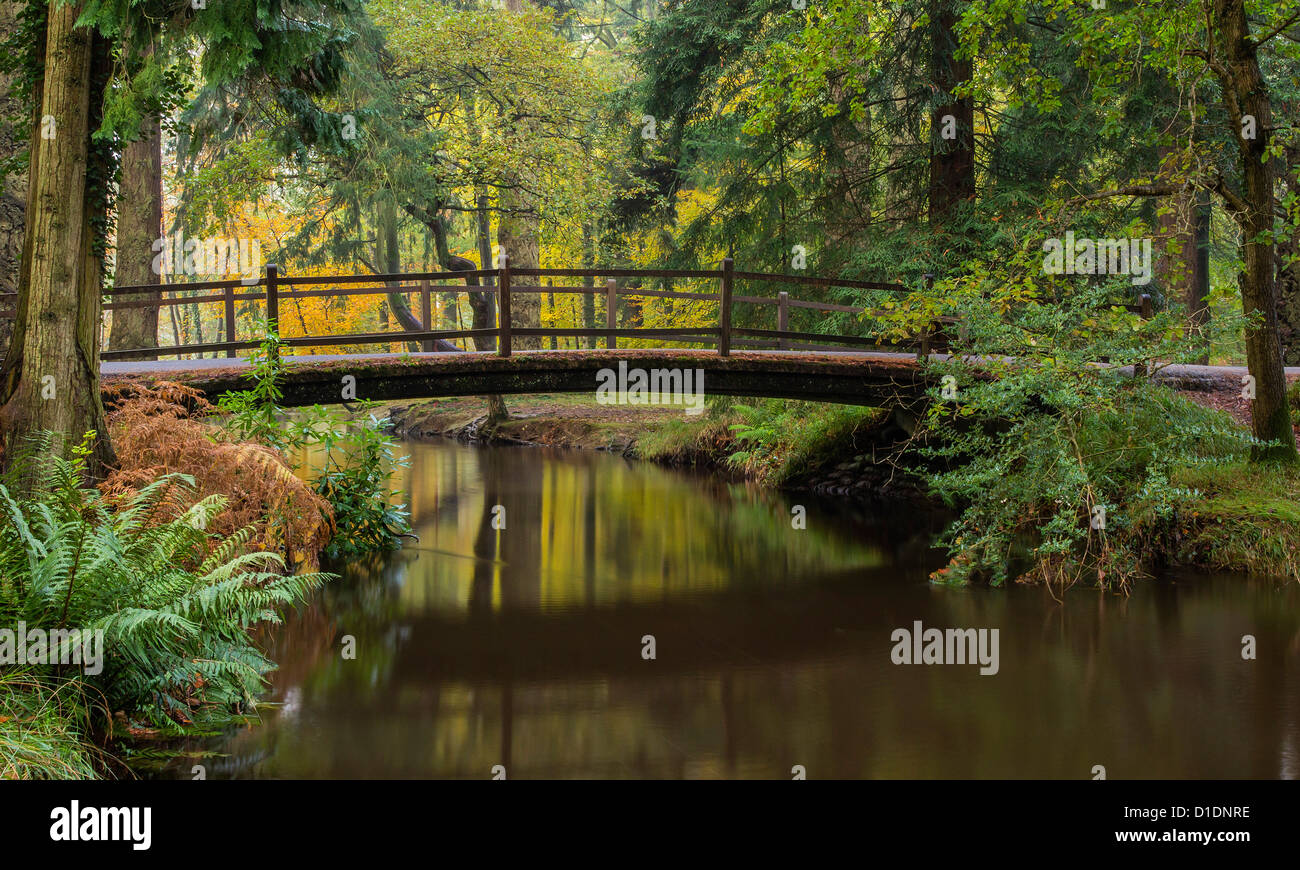 Nuova Foresta Blackwater Bridge, Rhinefield ornamentali, Drive, Hampshire, Inghilterra, Regno Unito. Europa Foto Stock