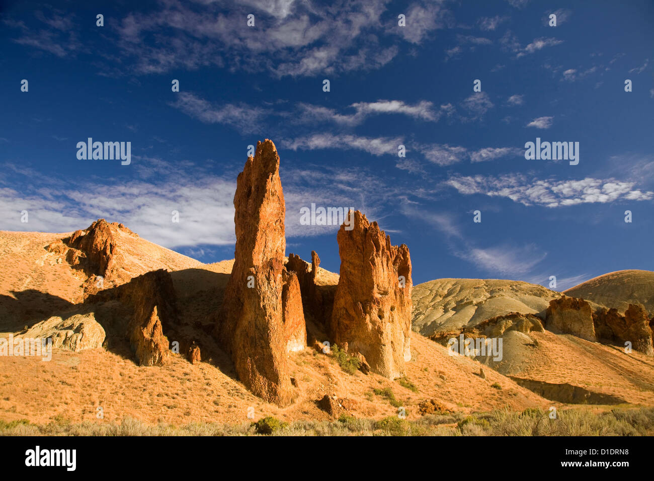 O00889-00...OREGON - guglie e nervature di eroso tufo vulcanico in Leslie Gulch. Foto Stock