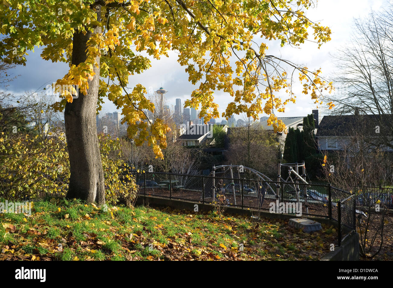 Caduta delle Foglie a Bayview-Kinnear Park in Queen Anne - Seattle, Washington Foto Stock