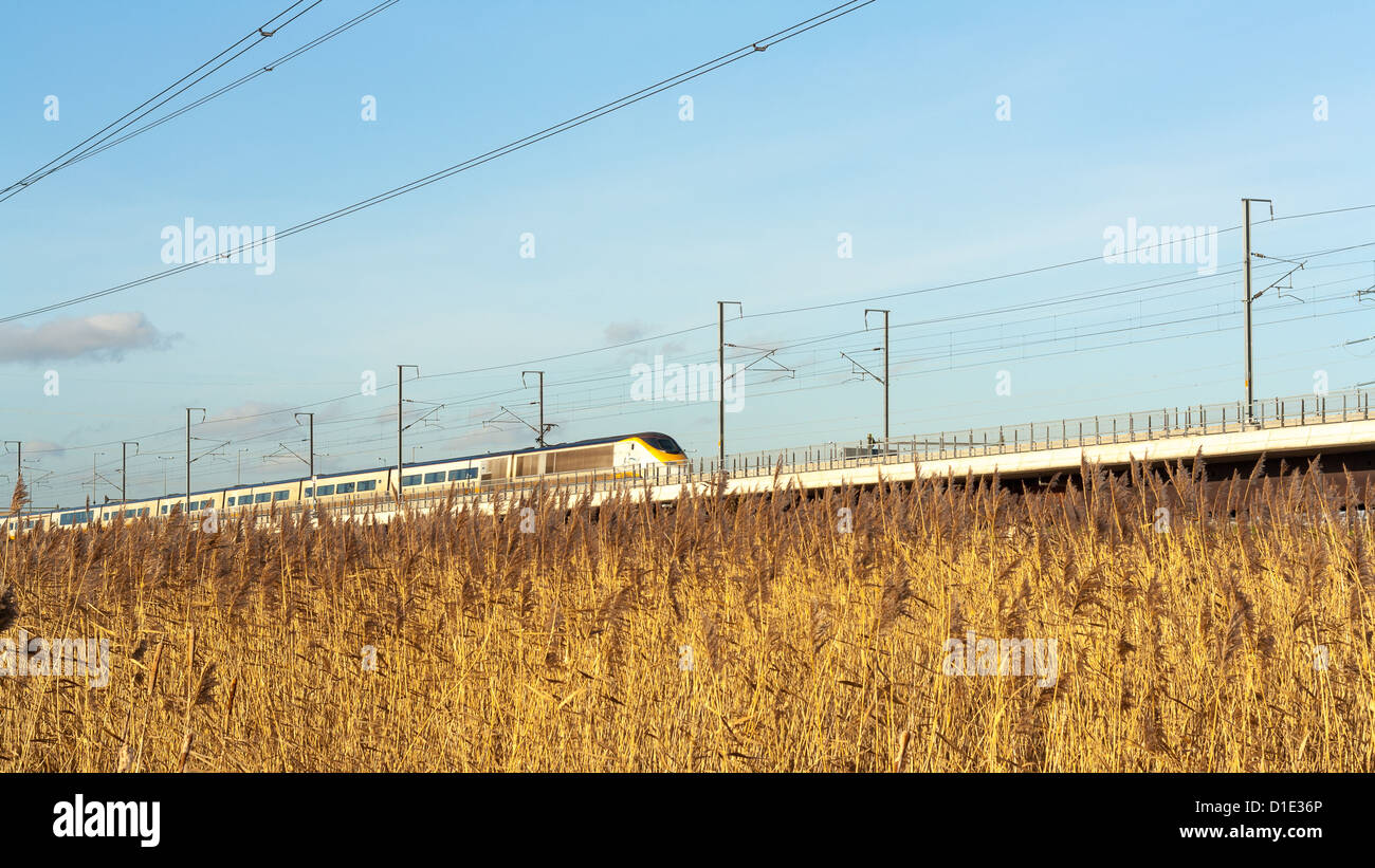 Treno ad alta velocità, Regno Unito Foto Stock