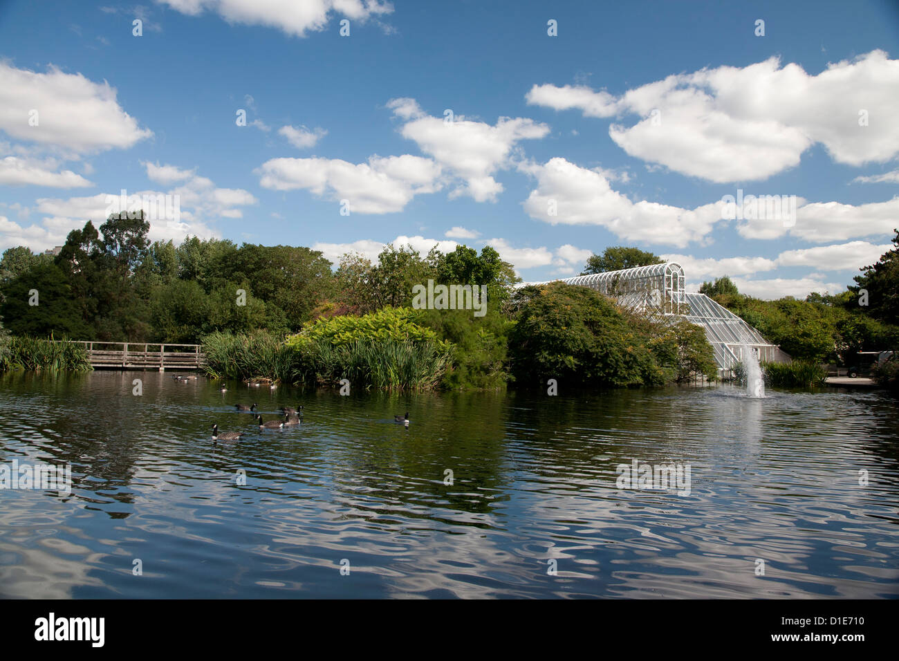 Anatre da Fontana e il Conservatorio sul Fiume Tamigi, Royal Botanic Gardens, Kew, vicino a Richmond, Surrey, England, Regno Unito Foto Stock